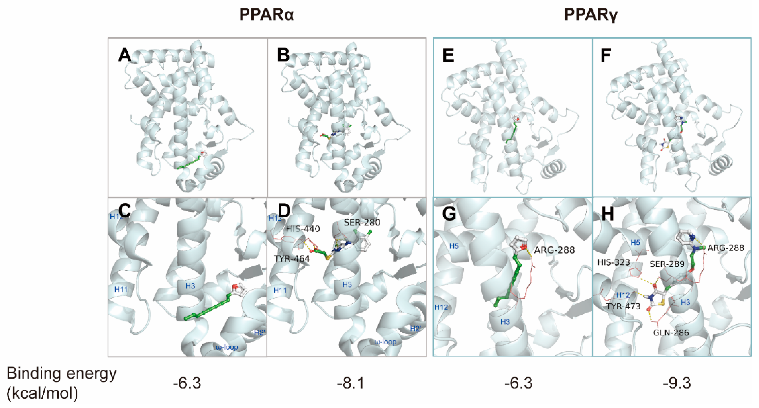 Ijms 24 00802 g003 Ijms 24 00802 g003