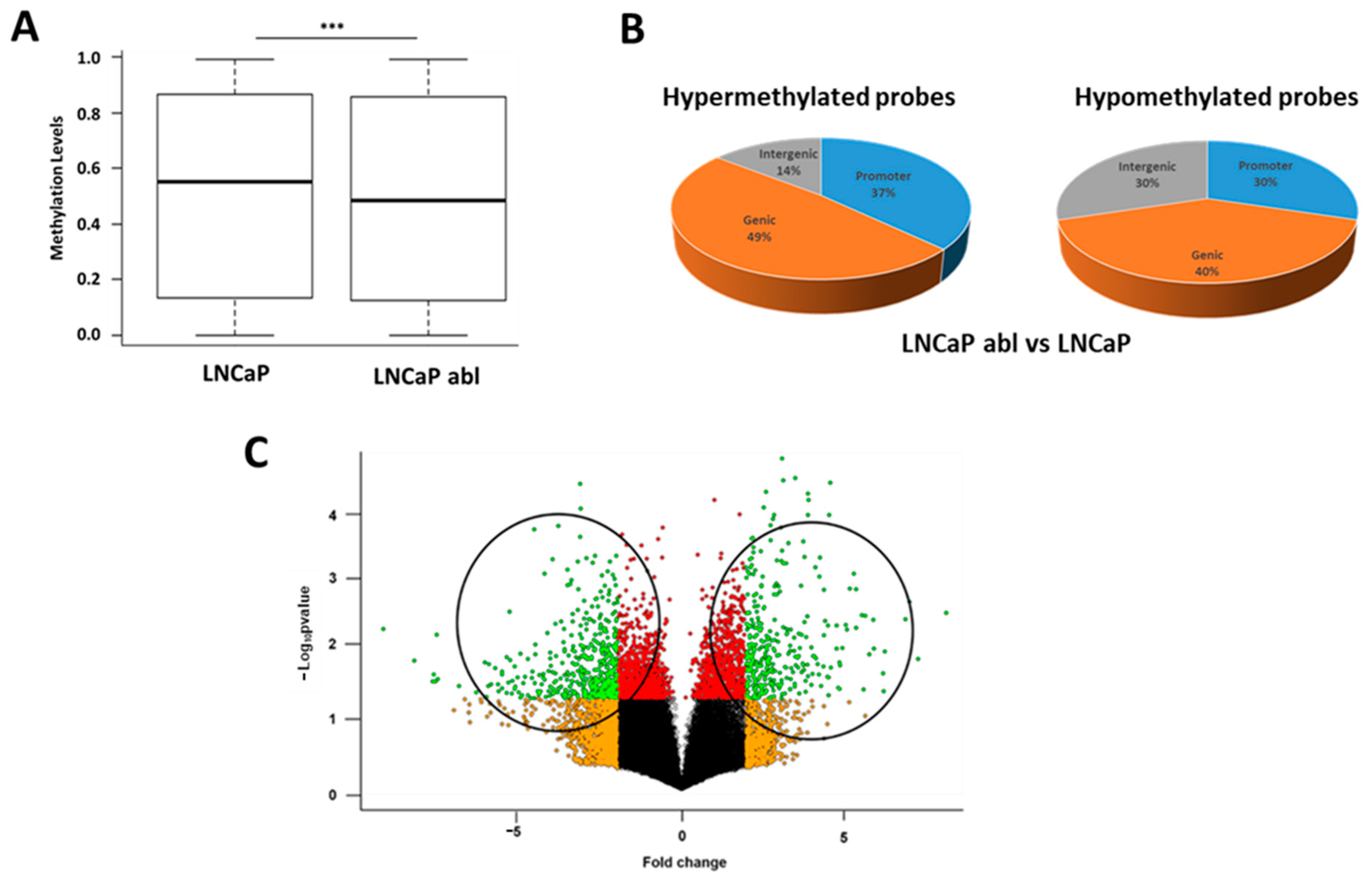 Ijms 24 00803 g001 Ijms 24 00803 g001