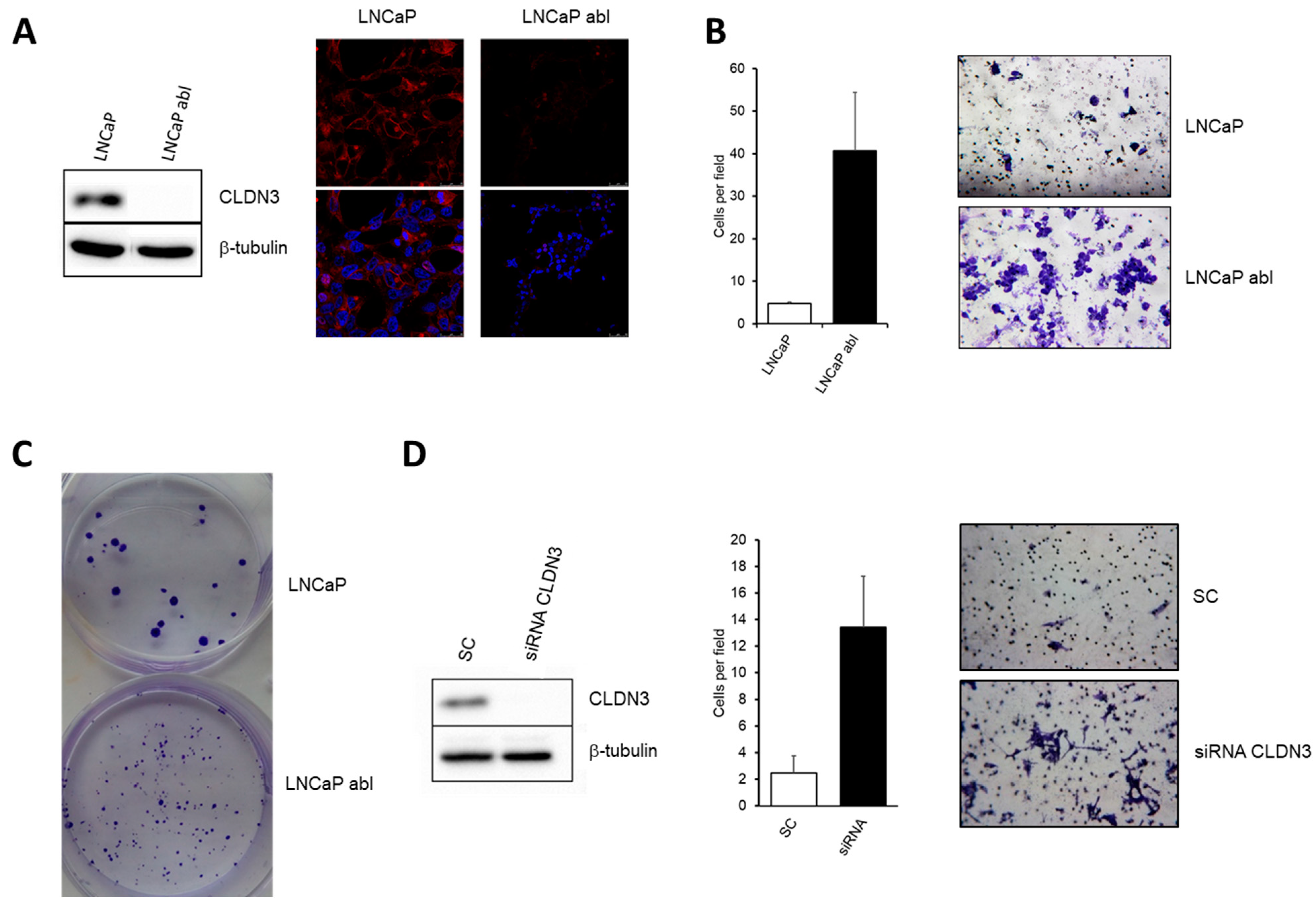 Ijms 24 00803 g005 Ijms 24 00803 g005
