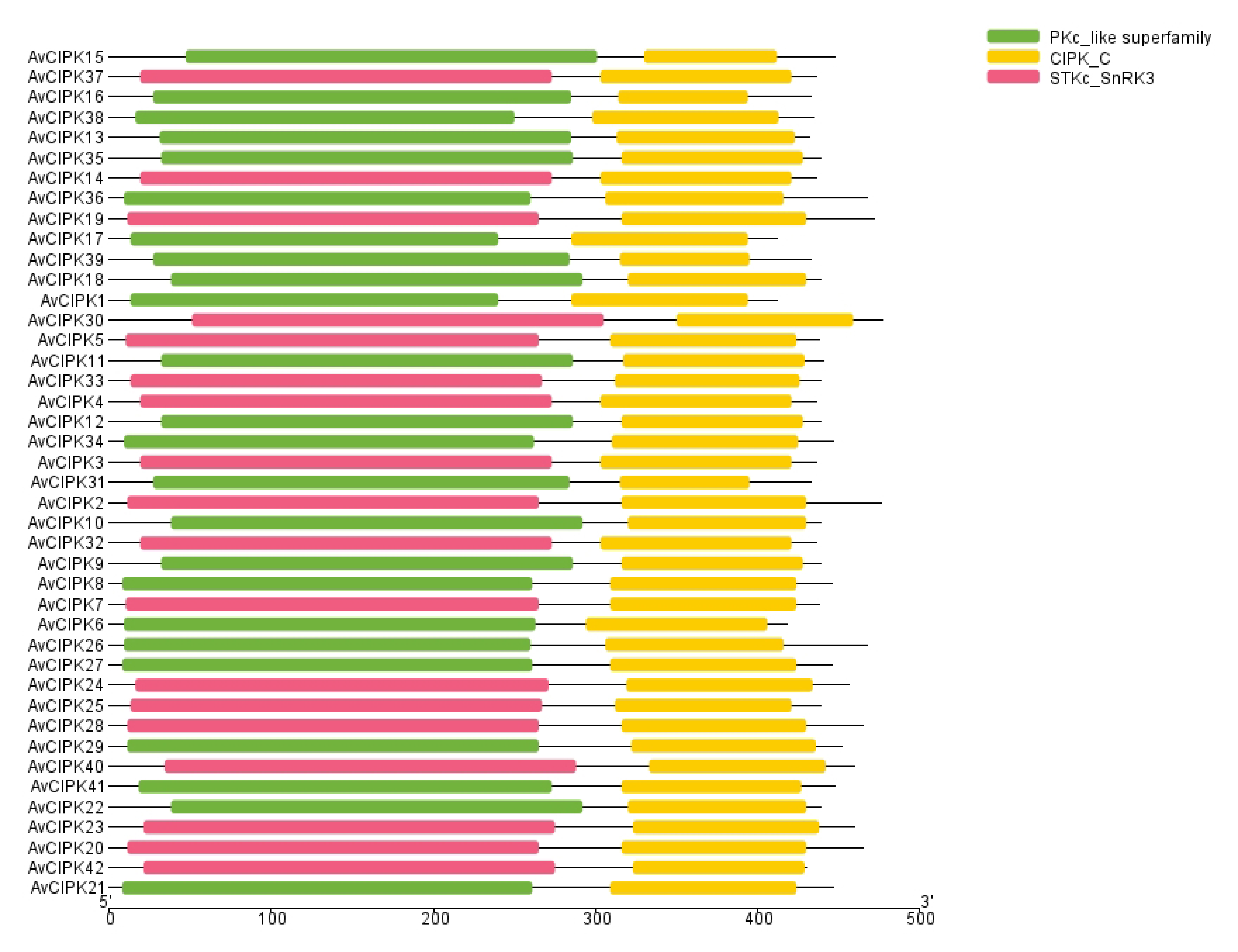 Ijms 24 00805 g003 Ijms 24 00805 g003