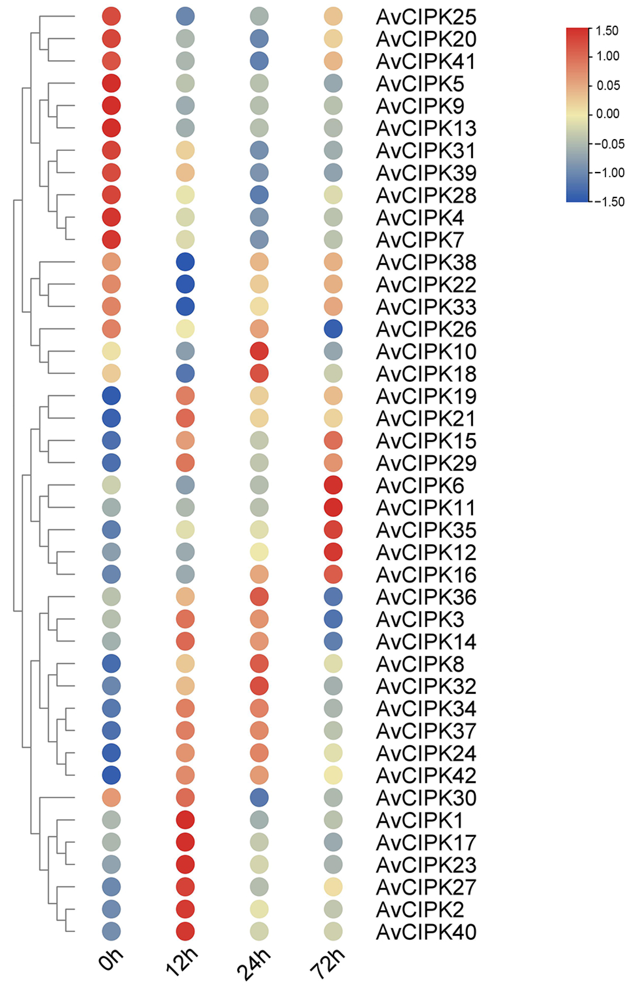 Ijms 24 00805 g004 Ijms 24 00805 g004