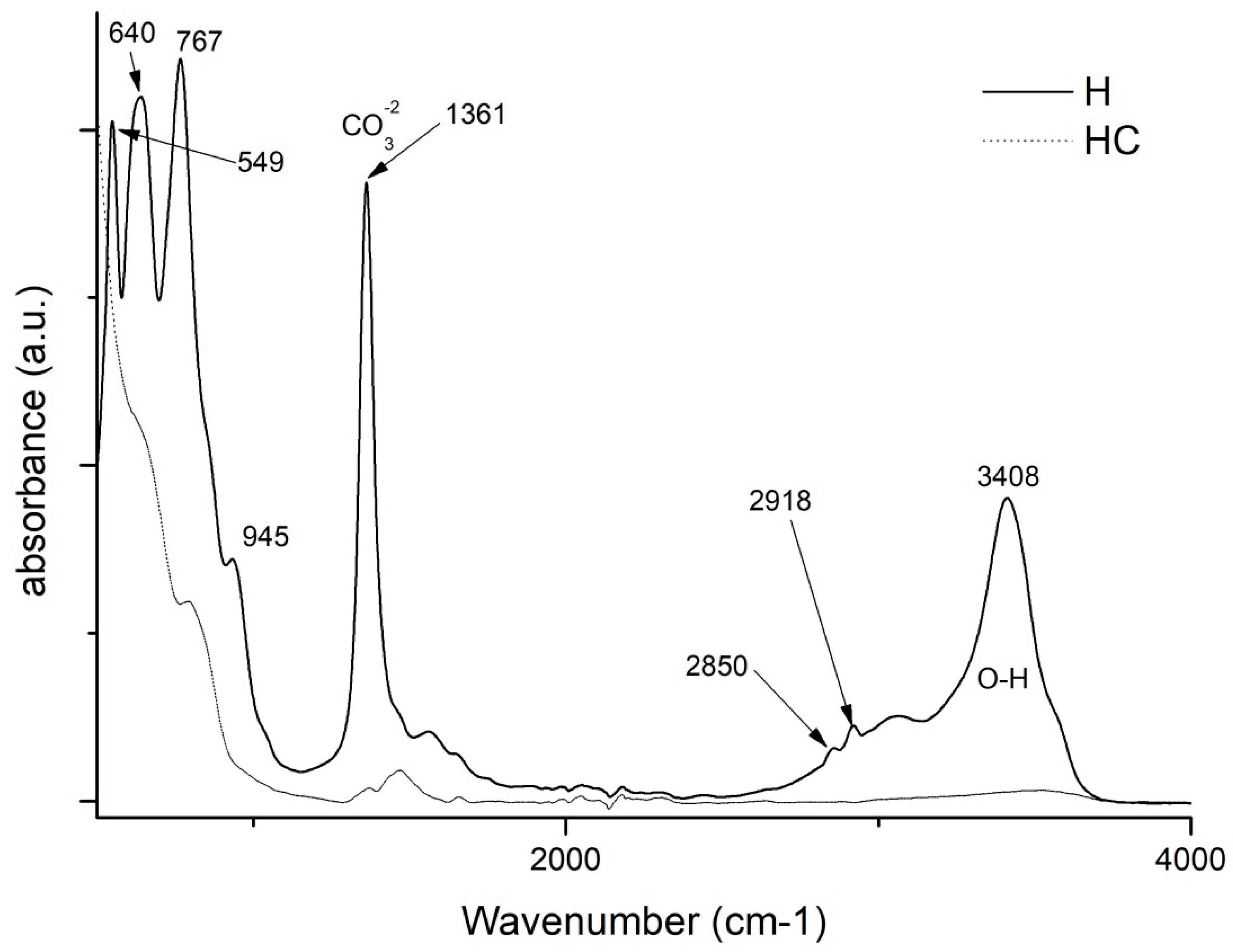 Ijms 24 00808 g004 Ijms 24 00808 g004