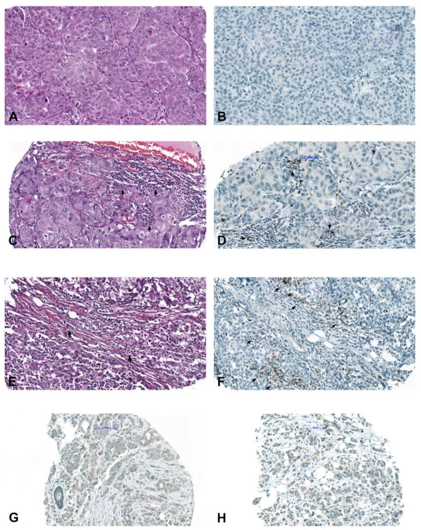 Ijms 24 00818 g002 Ijms 24 00818 g002