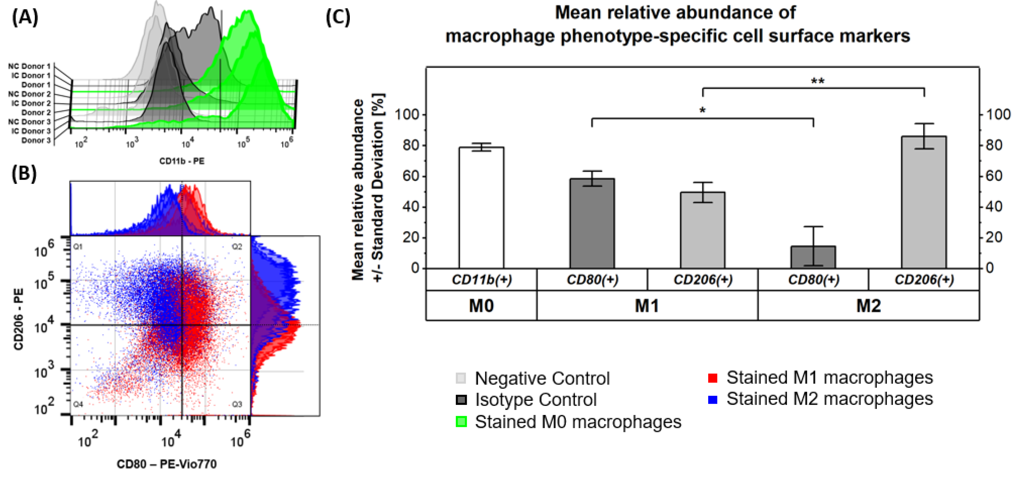 Ijms 24 00824 g001 Ijms 24 00824 g001