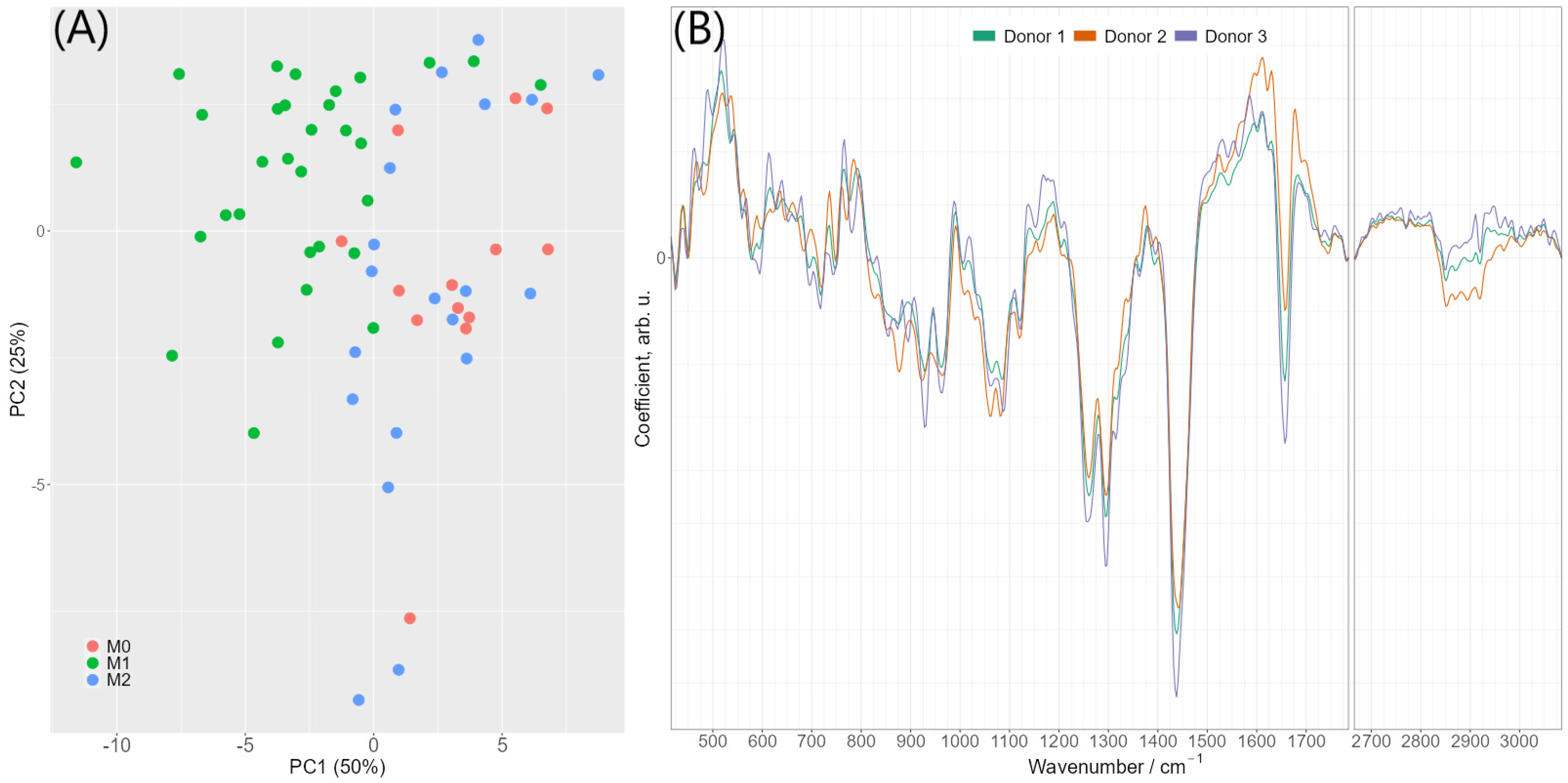 Ijms 24 00824 g004 Ijms 24 00824 g004