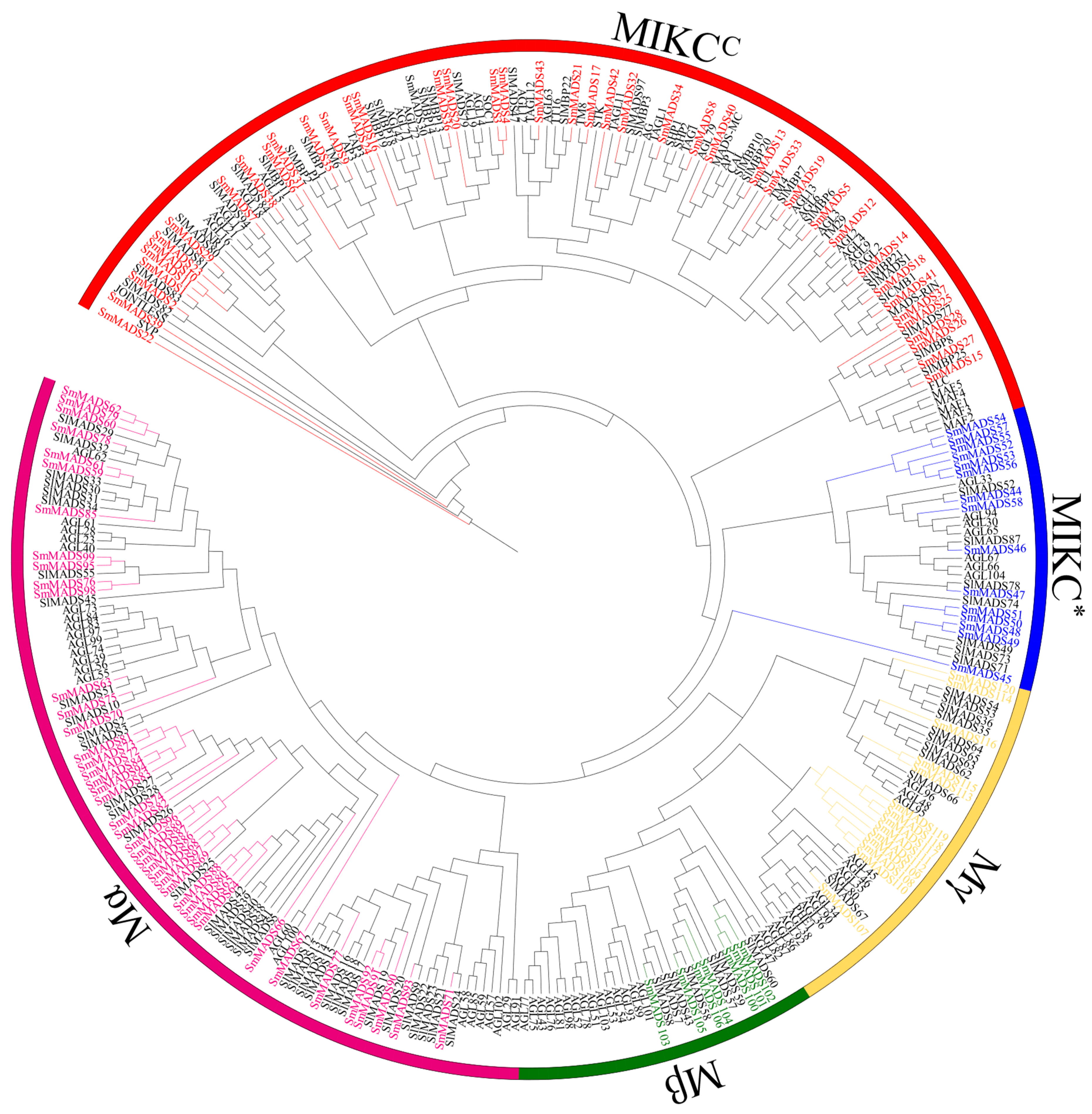 Ijms 24 00826 g001 Ijms 24 00826 g001