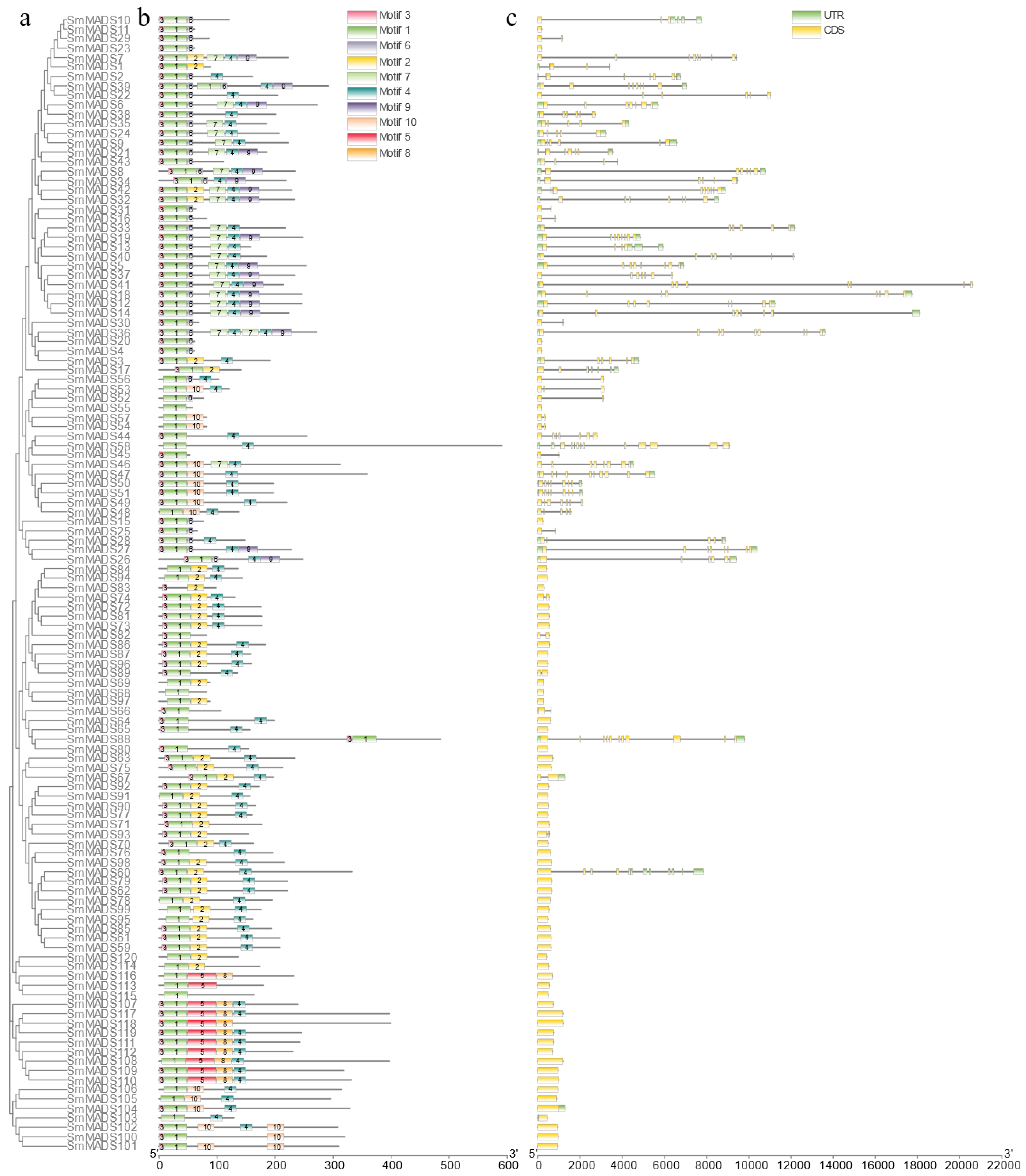 Ijms 24 00826 g002 Ijms 24 00826 g002