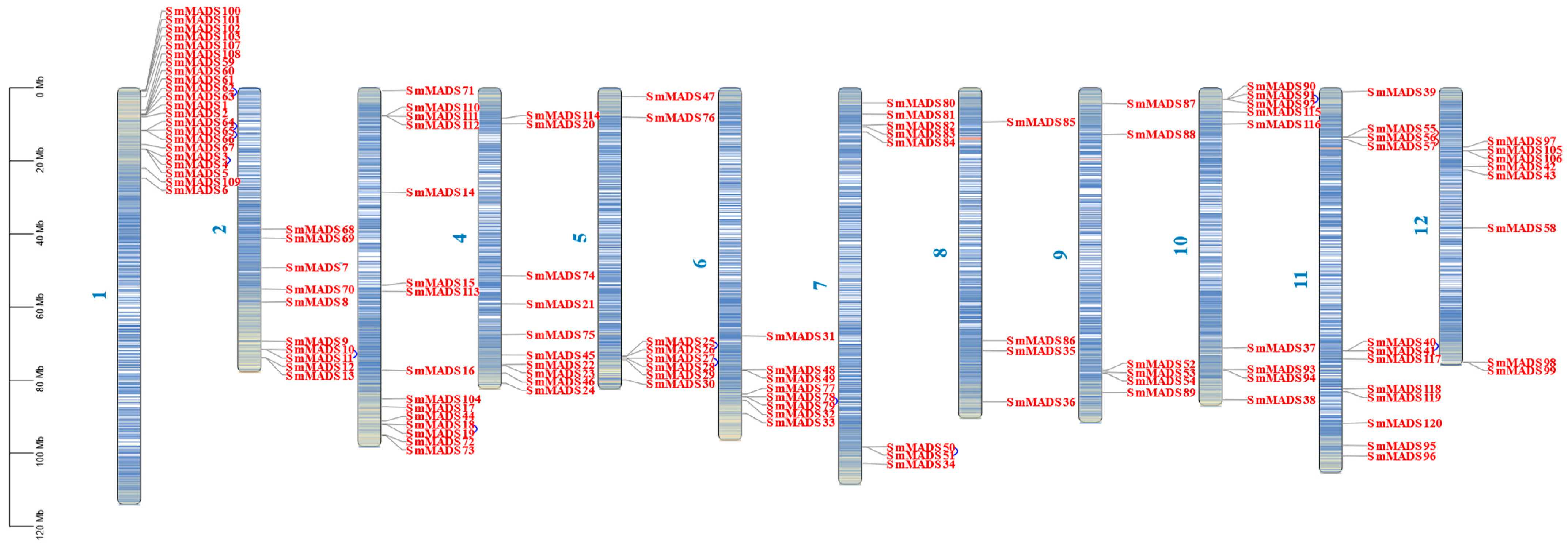 Ijms 24 00826 g003 Ijms 24 00826 g003