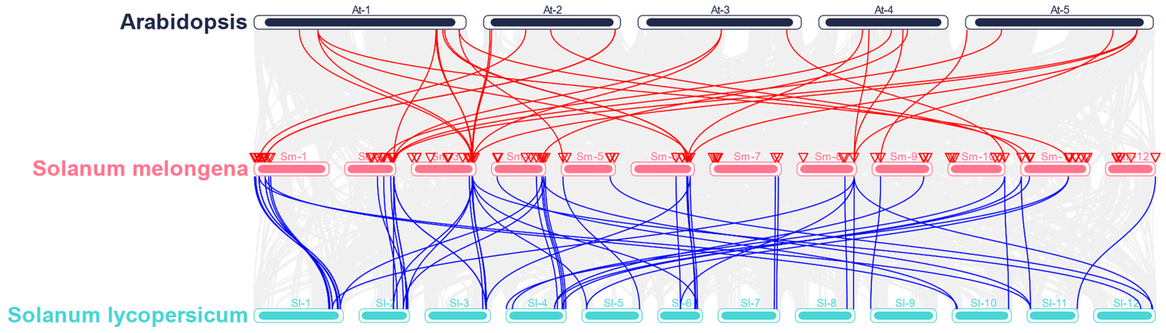 Ijms 24 00826 g005 Ijms 24 00826 g005