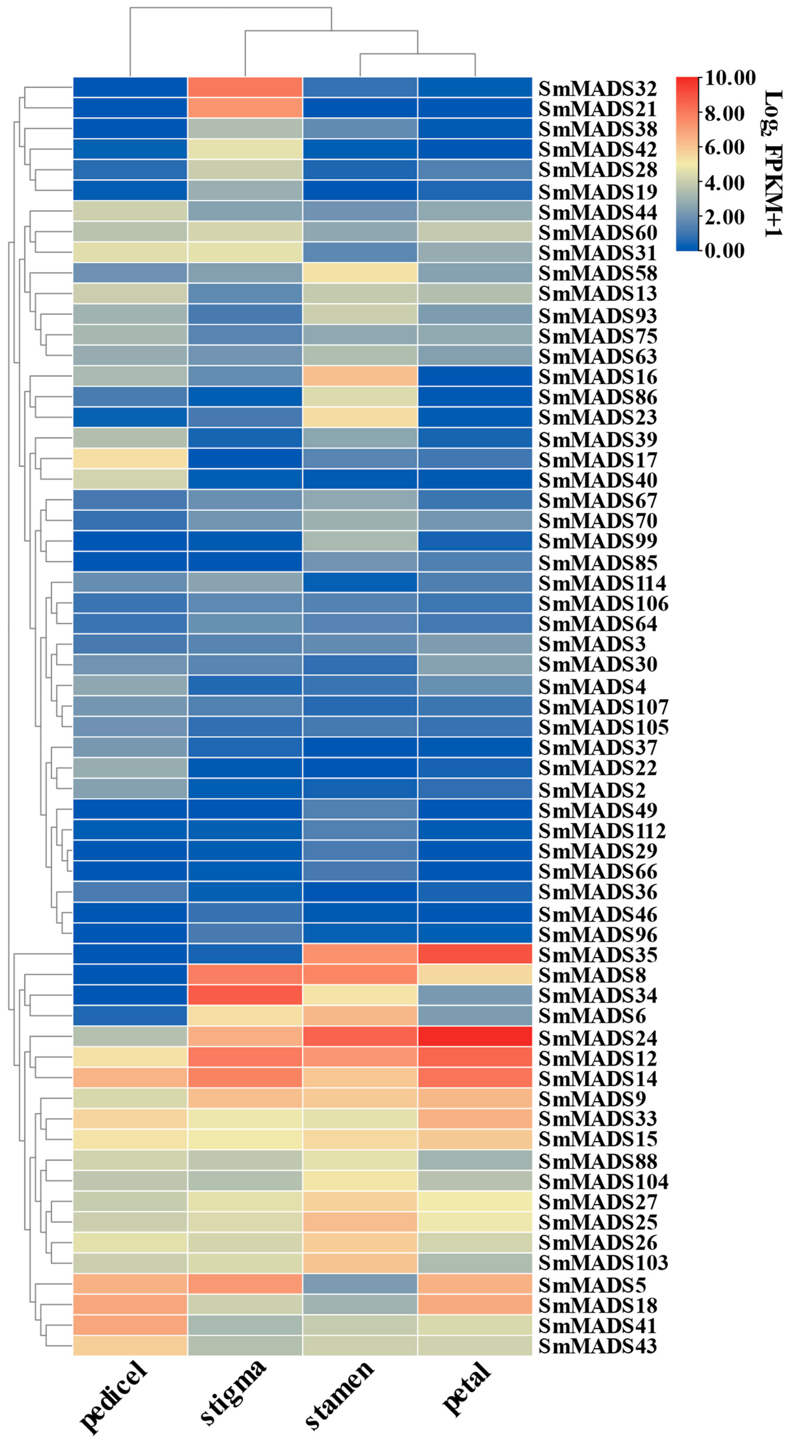 Ijms 24 00826 g007 Ijms 24 00826 g007