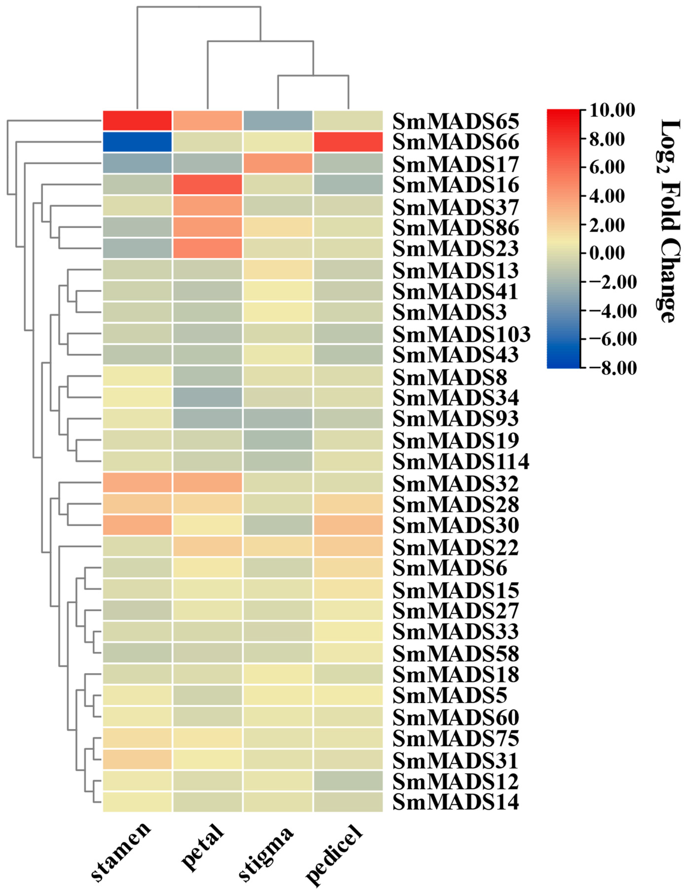 Ijms 24 00826 g008 Ijms 24 00826 g008