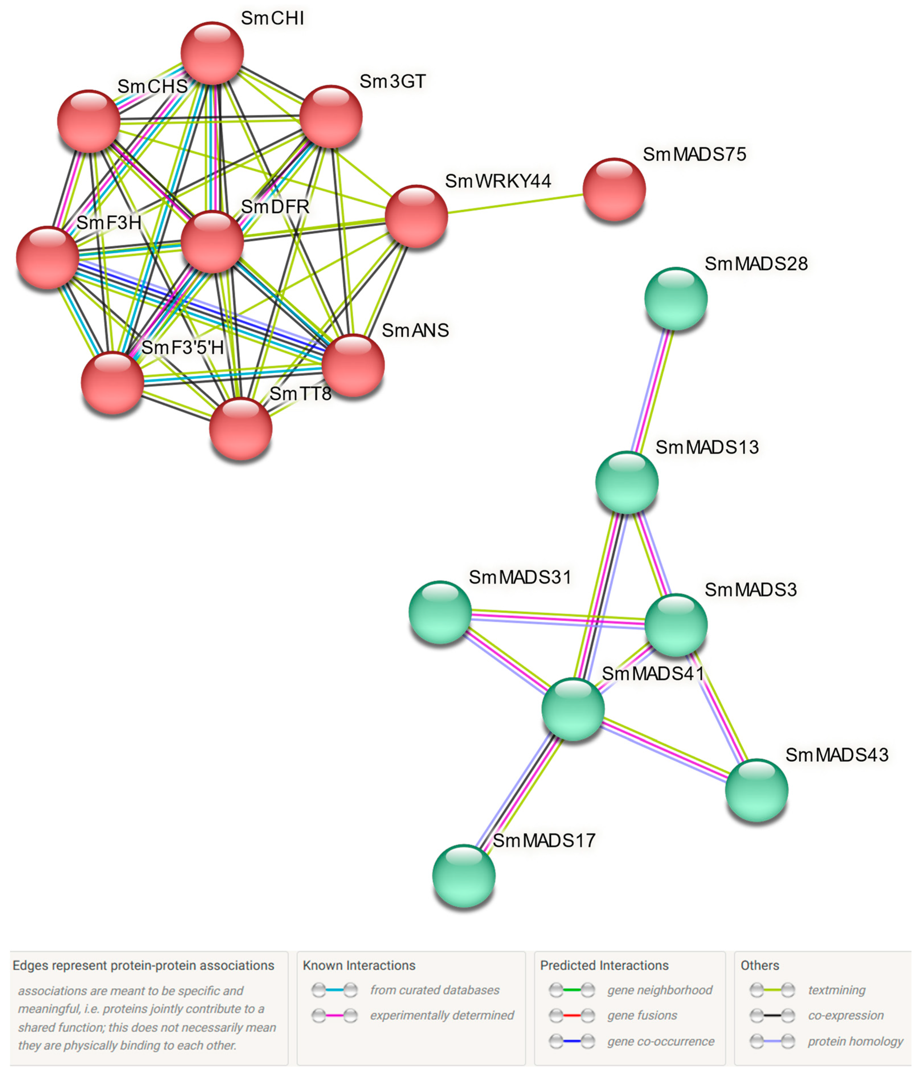 Ijms 24 00826 g010 Ijms 24 00826 g010