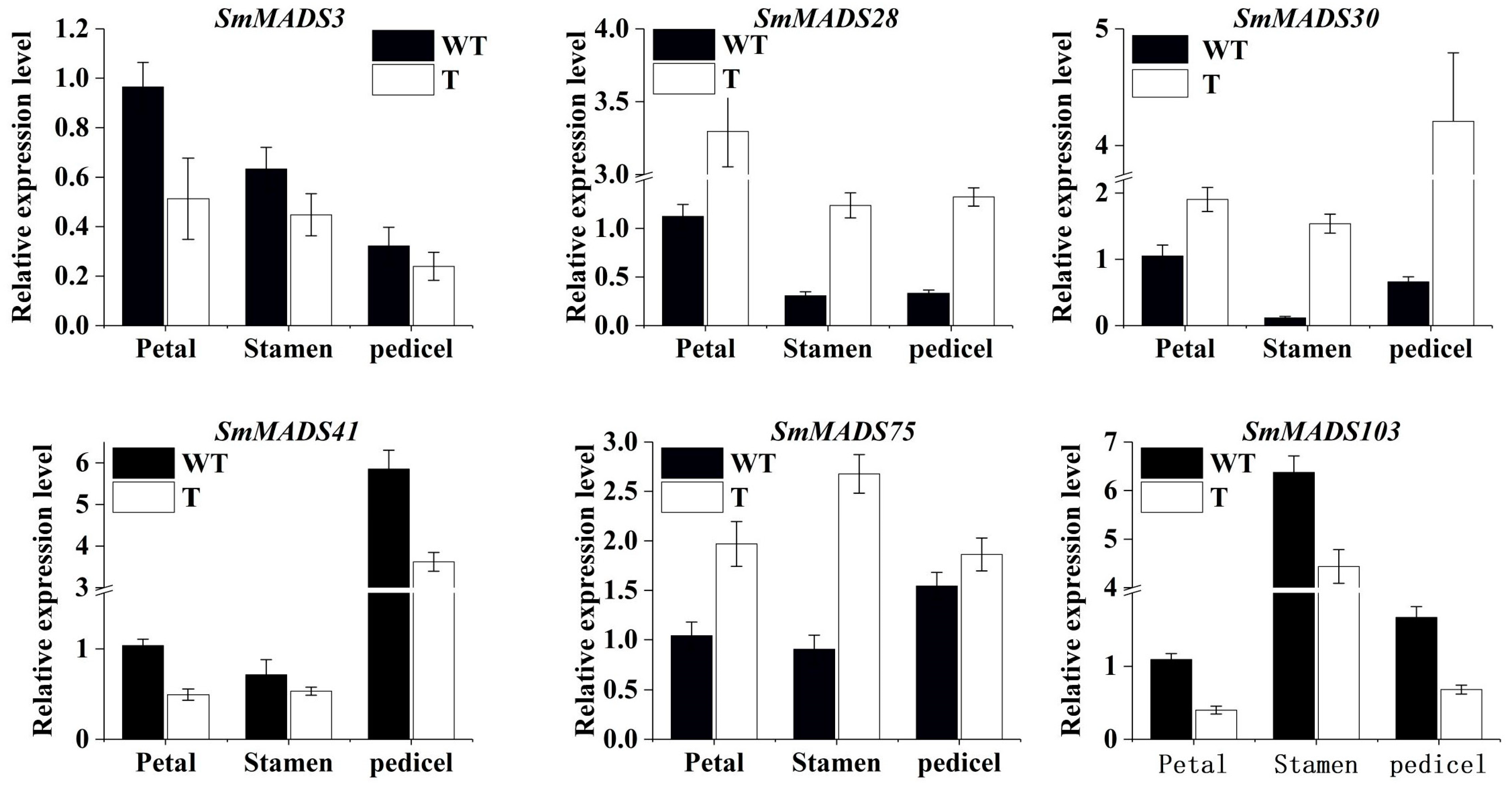 Ijms 24 00826 g011 Ijms 24 00826 g011