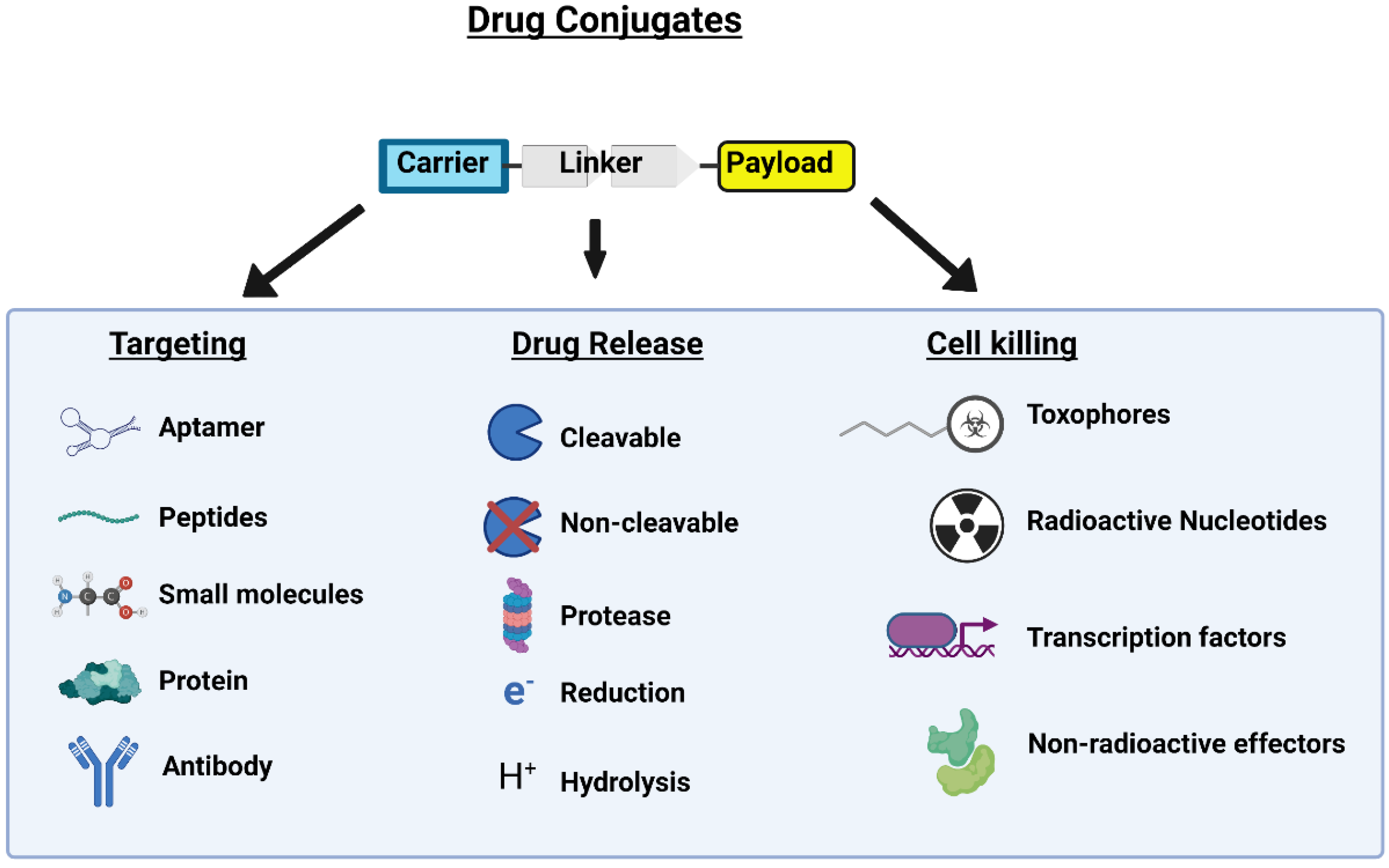 Frontiers peptide drug conjugates and their targets in 51 off