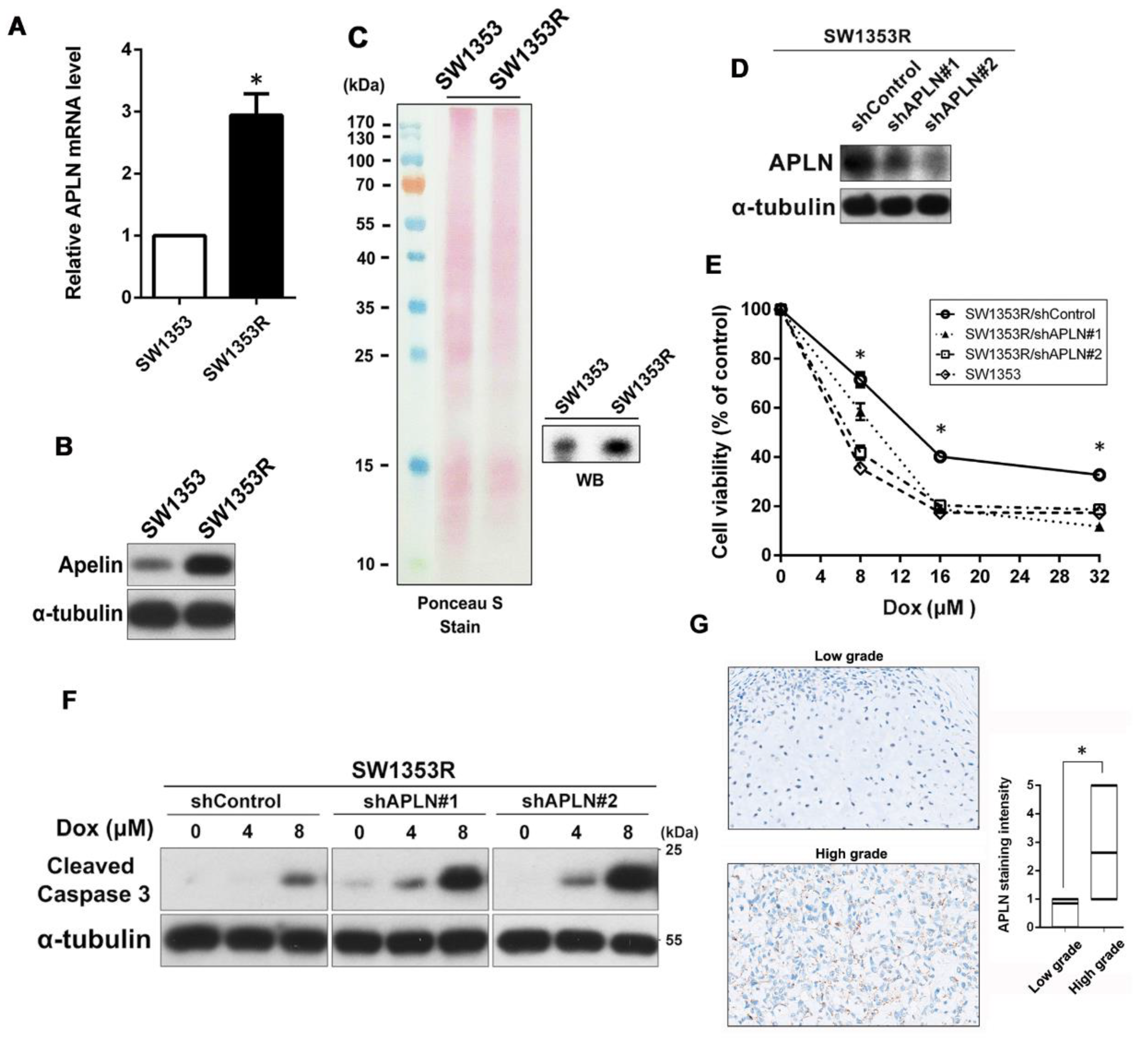 Ijms 24 00839 g002 Ijms 24 00839 g002