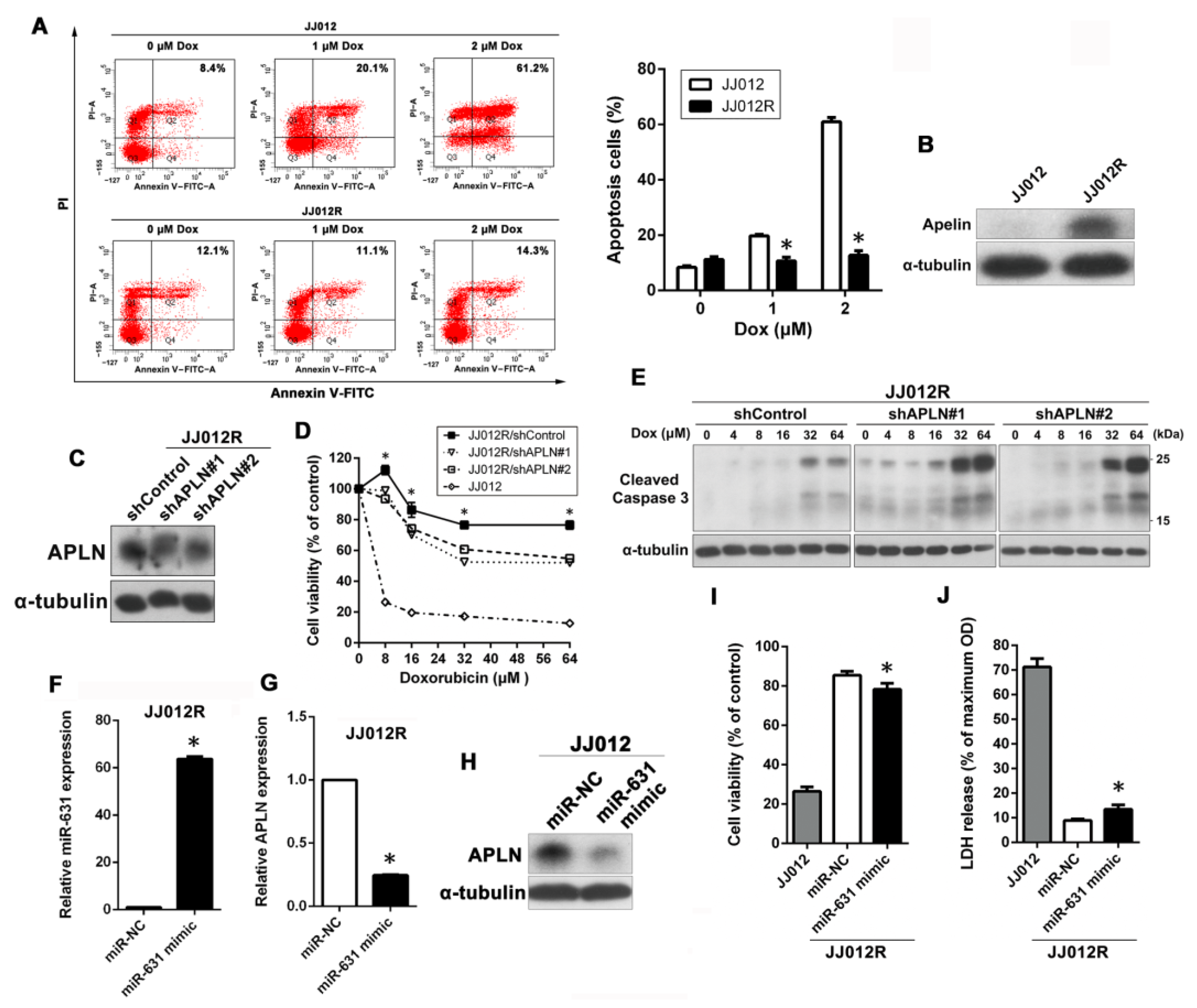 Ijms 24 00839 g004 Ijms 24 00839 g004