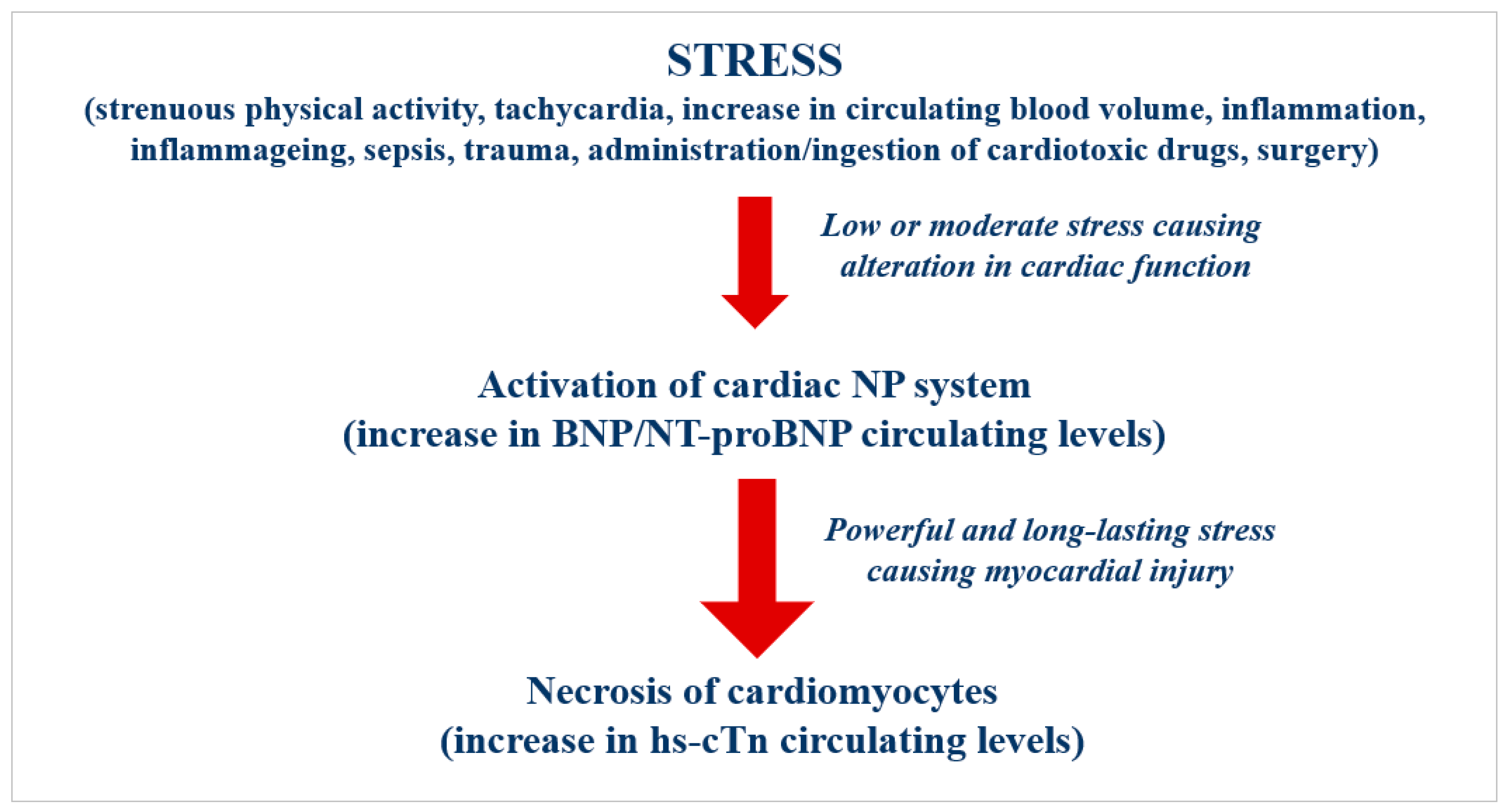 Ijms 24 00844 g001 Ijms 24 00844 g001