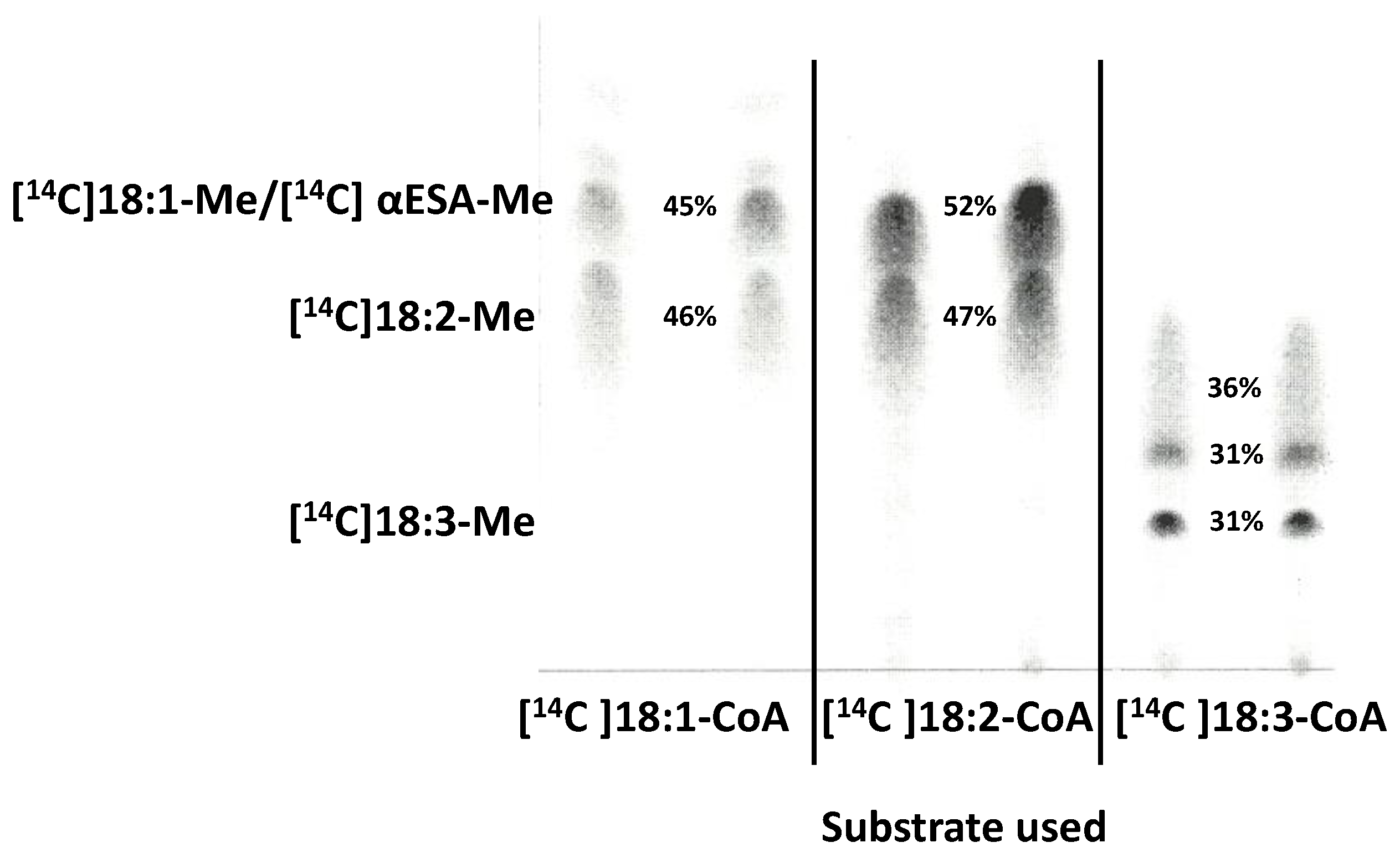 Ijms 24 00848 g004 Ijms 24 00848 g004