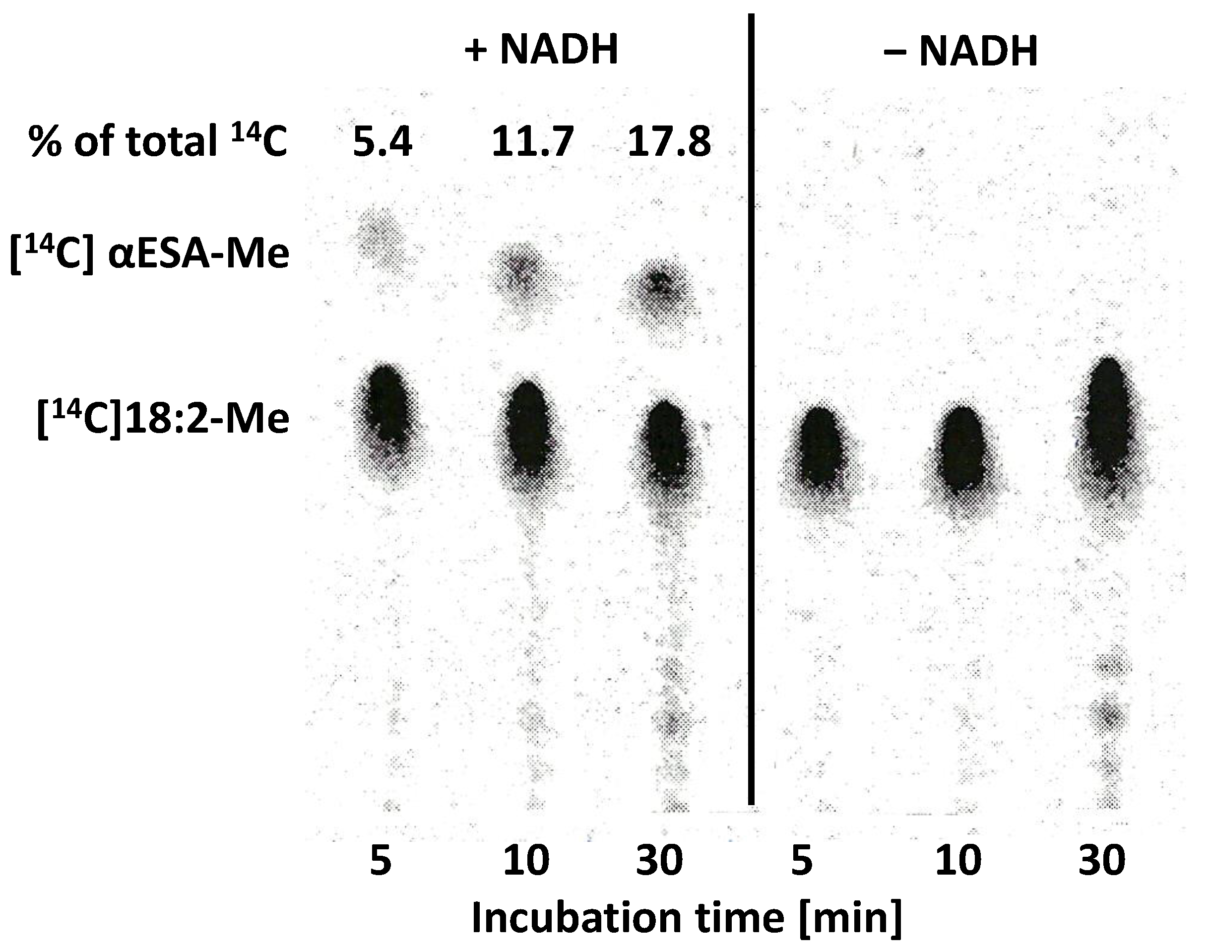 Ijms 24 00848 g006 Ijms 24 00848 g006