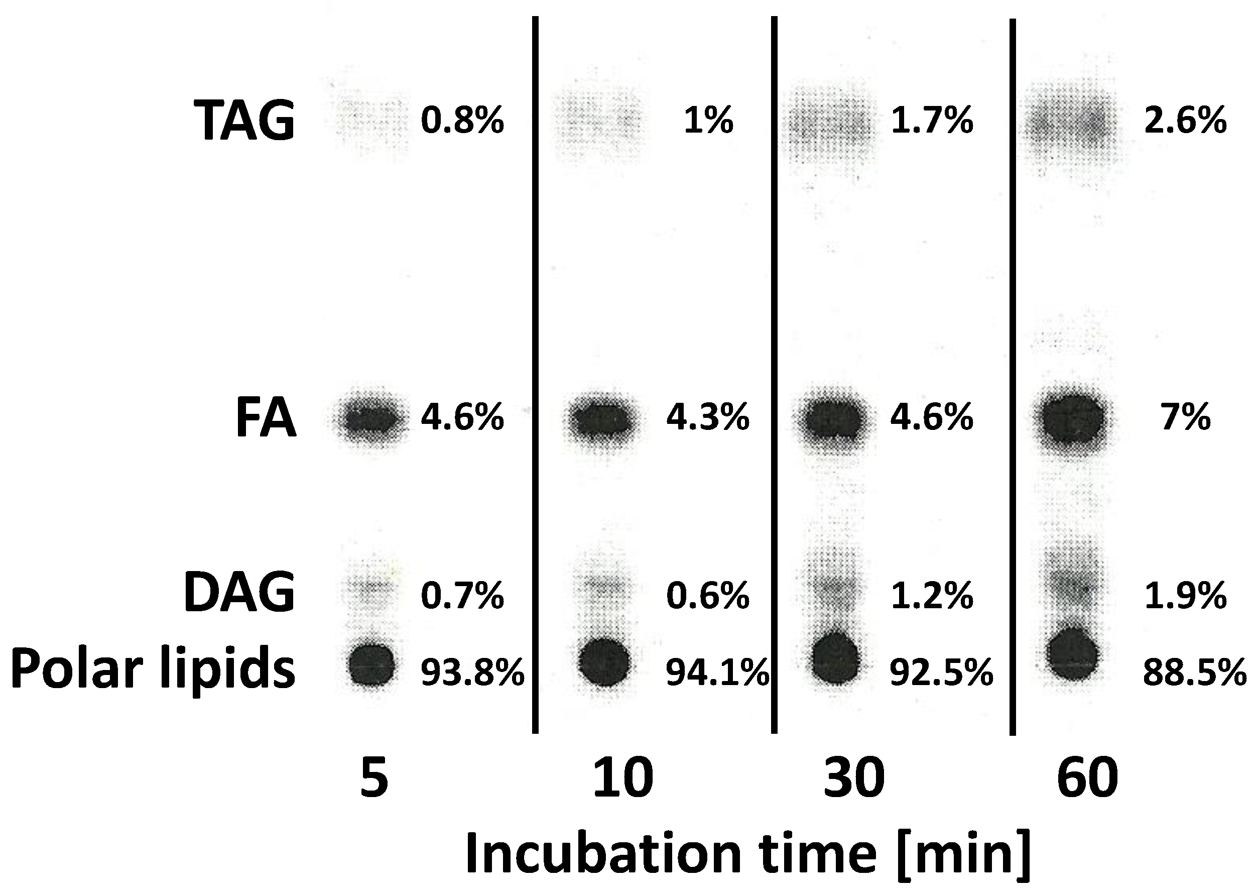 Ijms 24 00848 g007 Ijms 24 00848 g007