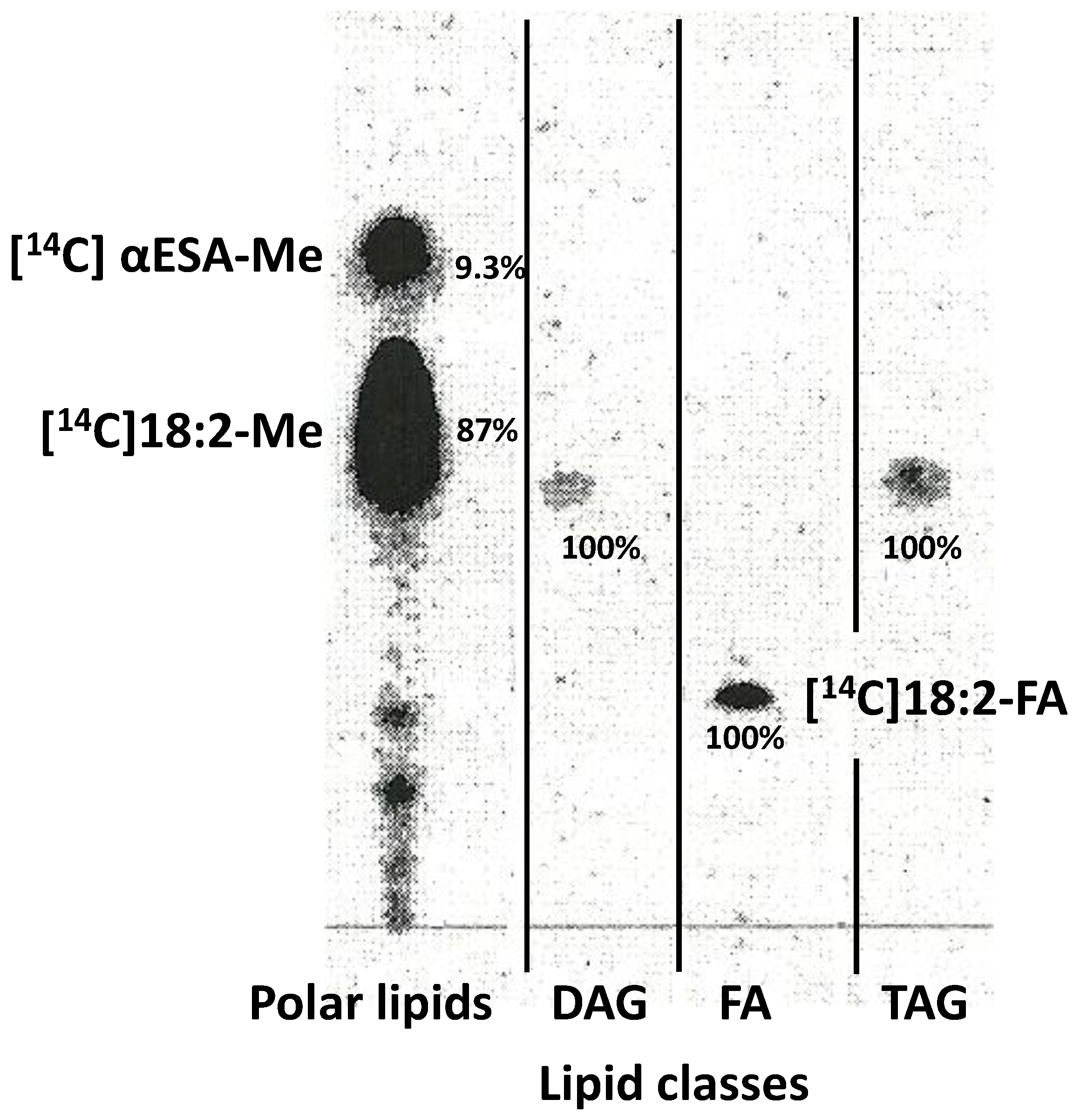 Ijms 24 00848 g008 Ijms 24 00848 g008