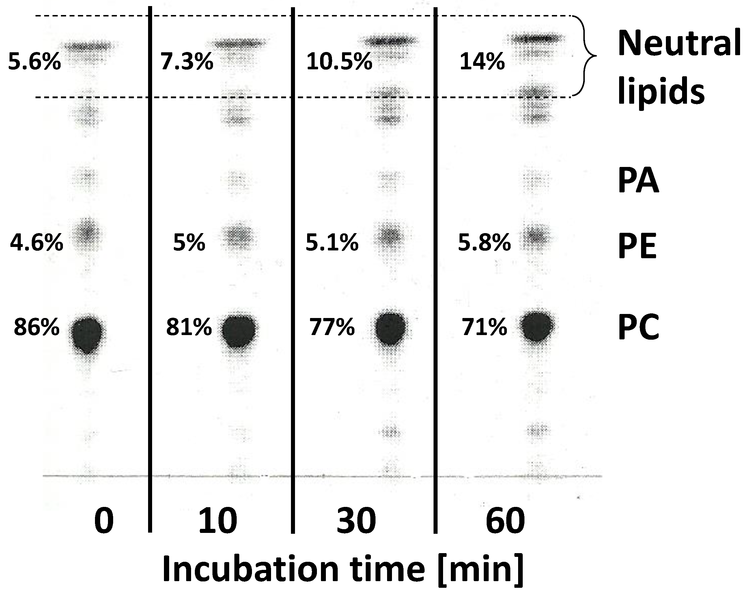 Ijms 24 00848 g009 Ijms 24 00848 g009