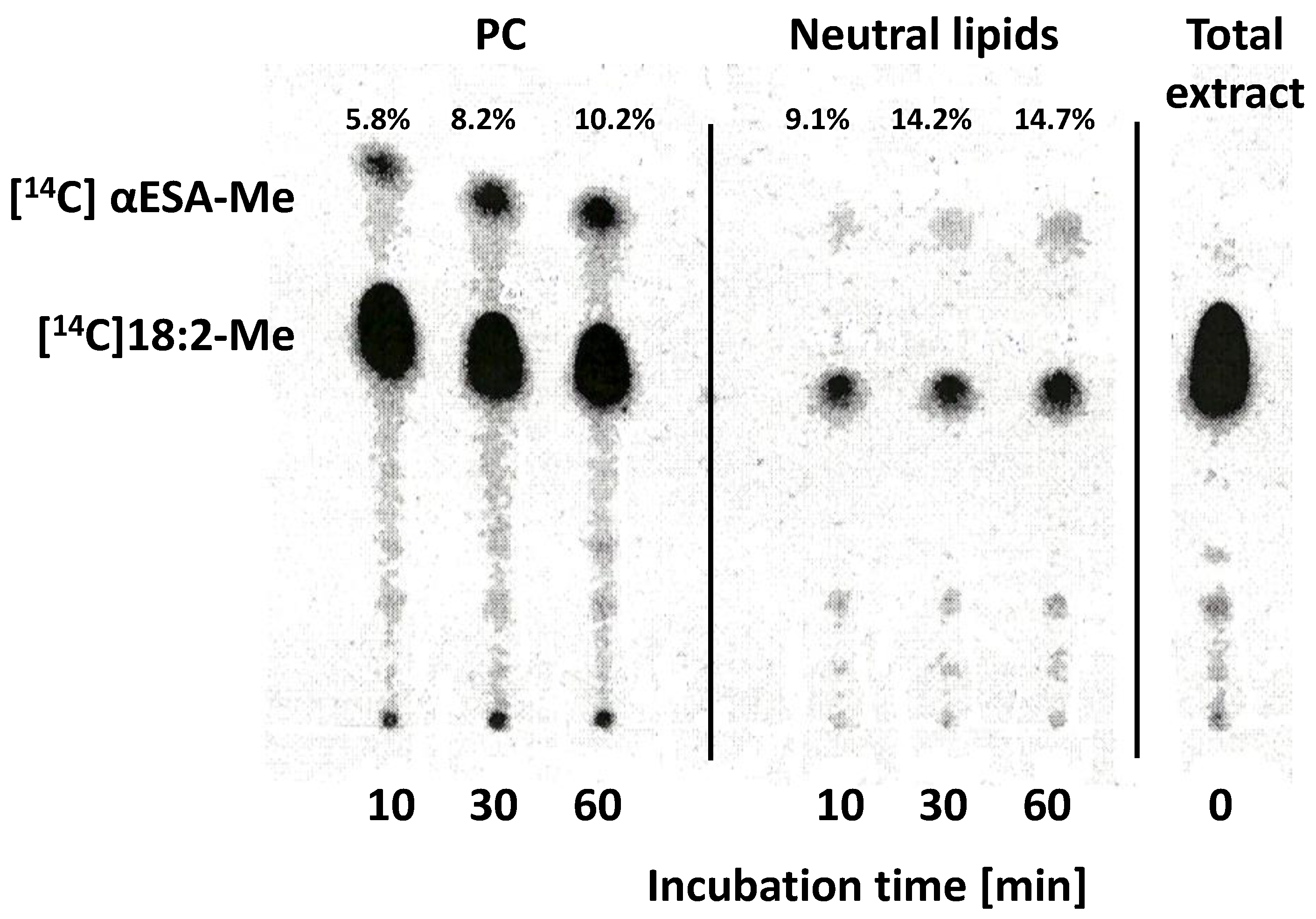 Ijms 24 00848 g010 Ijms 24 00848 g010