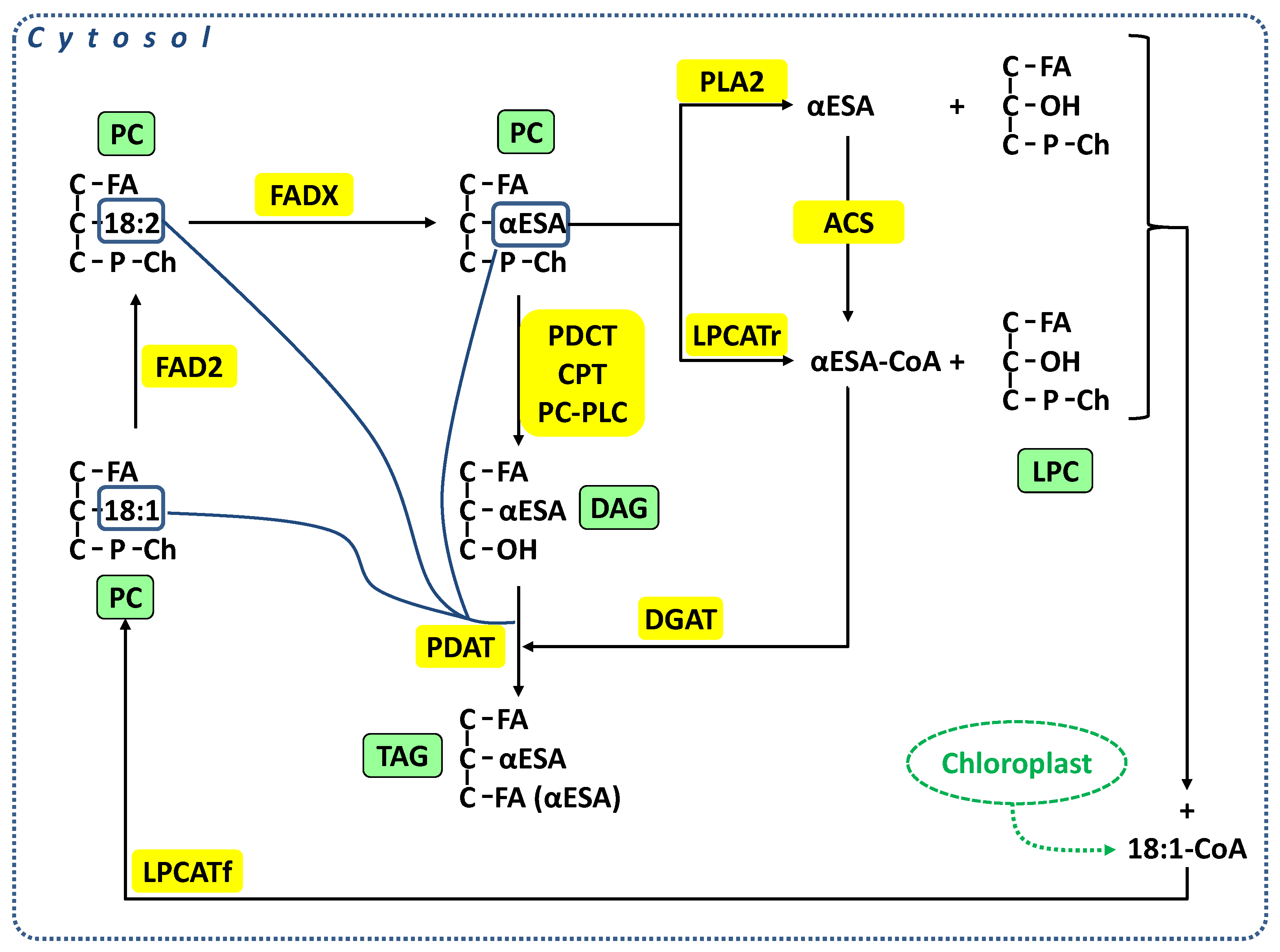 Ijms 24 00848 sch001 Ijms 24 00848 sch001