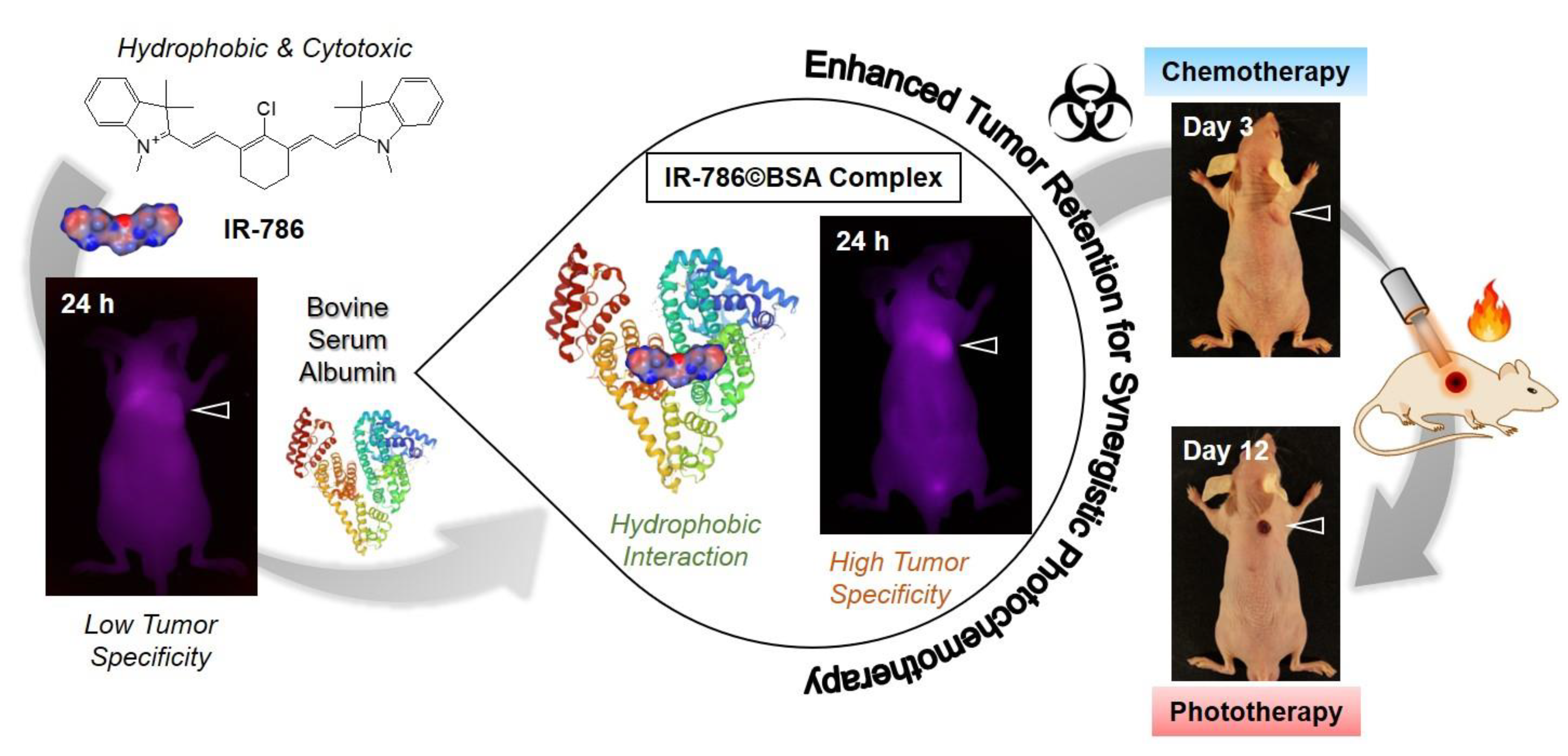 Ijms 24 00862 sch001
