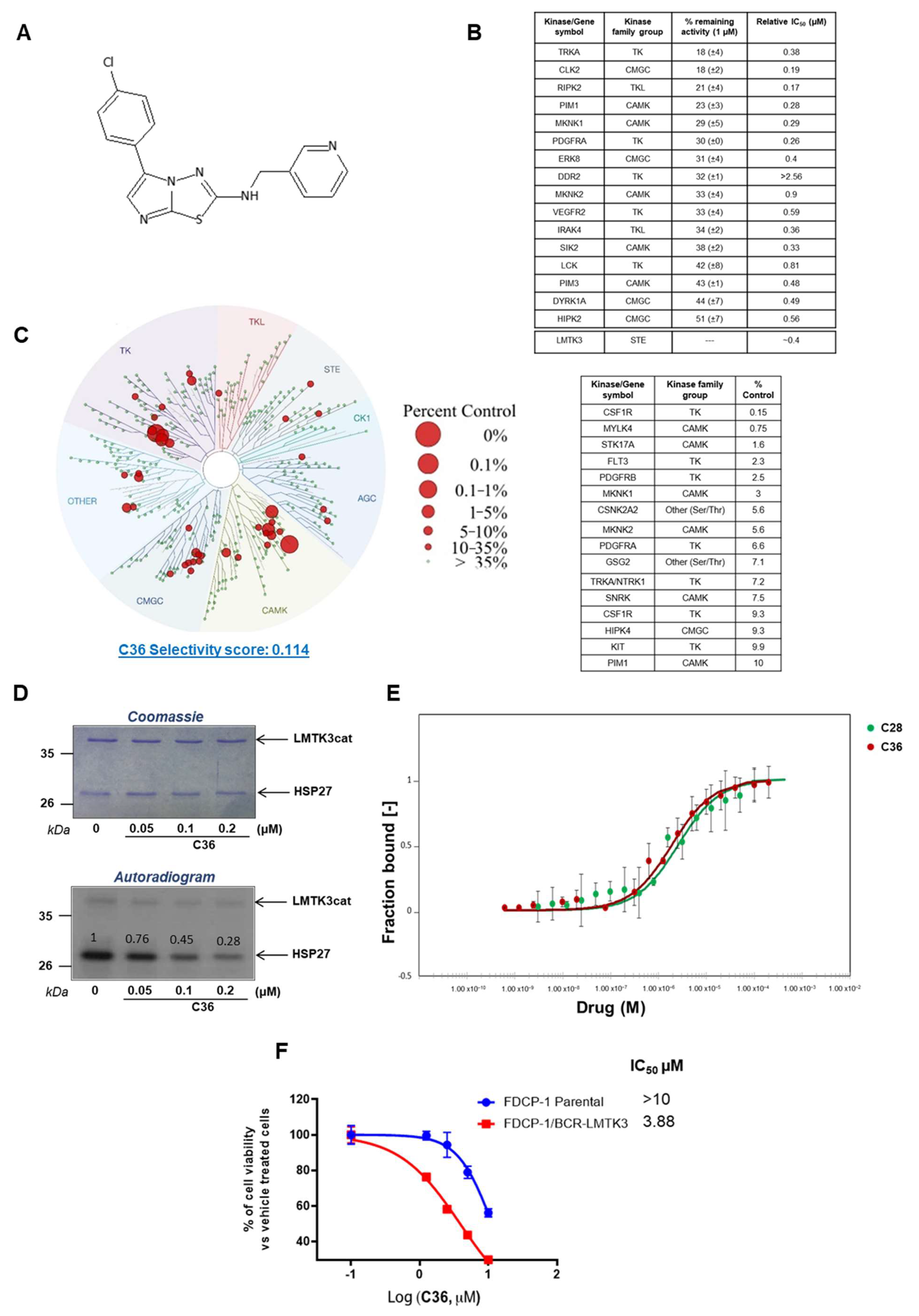 Ijms 24 00865 g001 Ijms 24 00865 g001