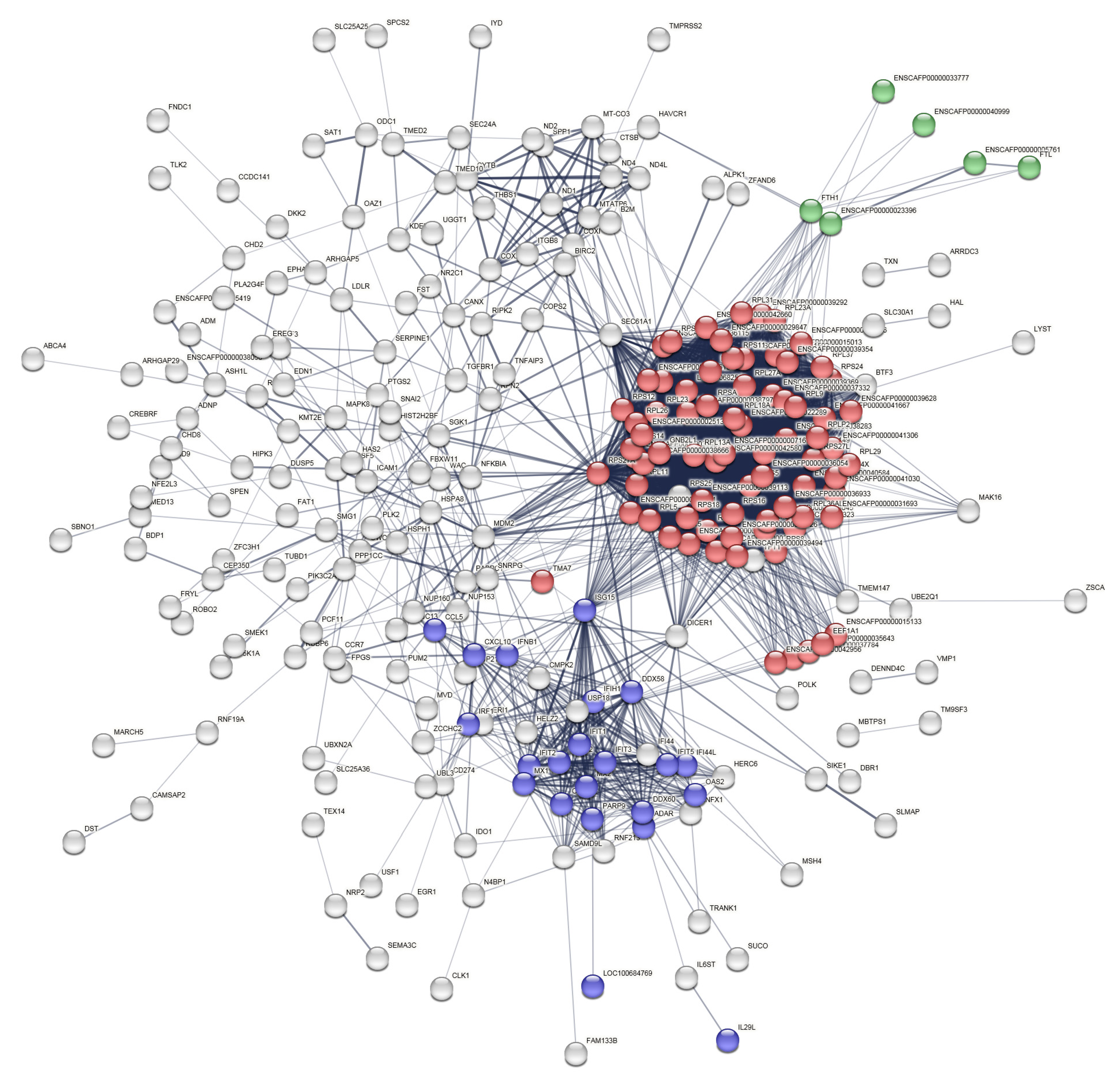 Ijms 24 00867 g005 Ijms 24 00867 g005