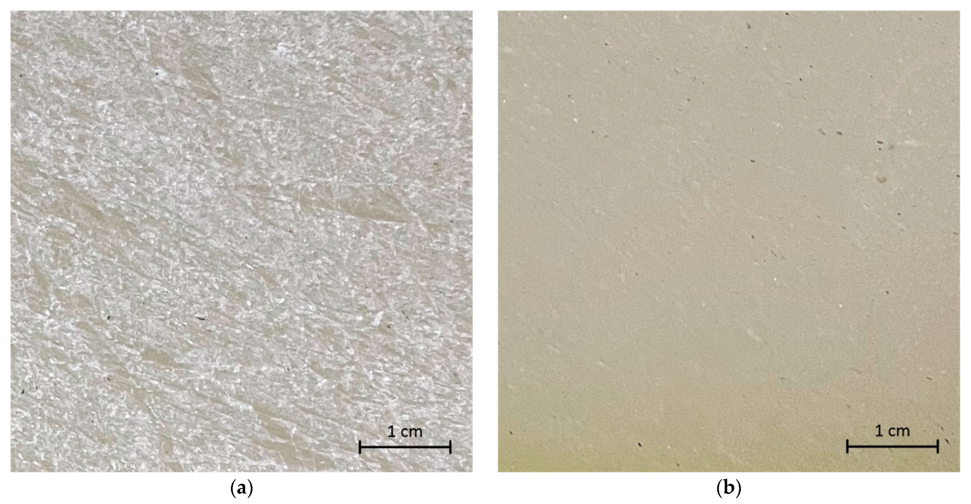 Ijms 24 00869 g002 Ijms 24 00869 g002