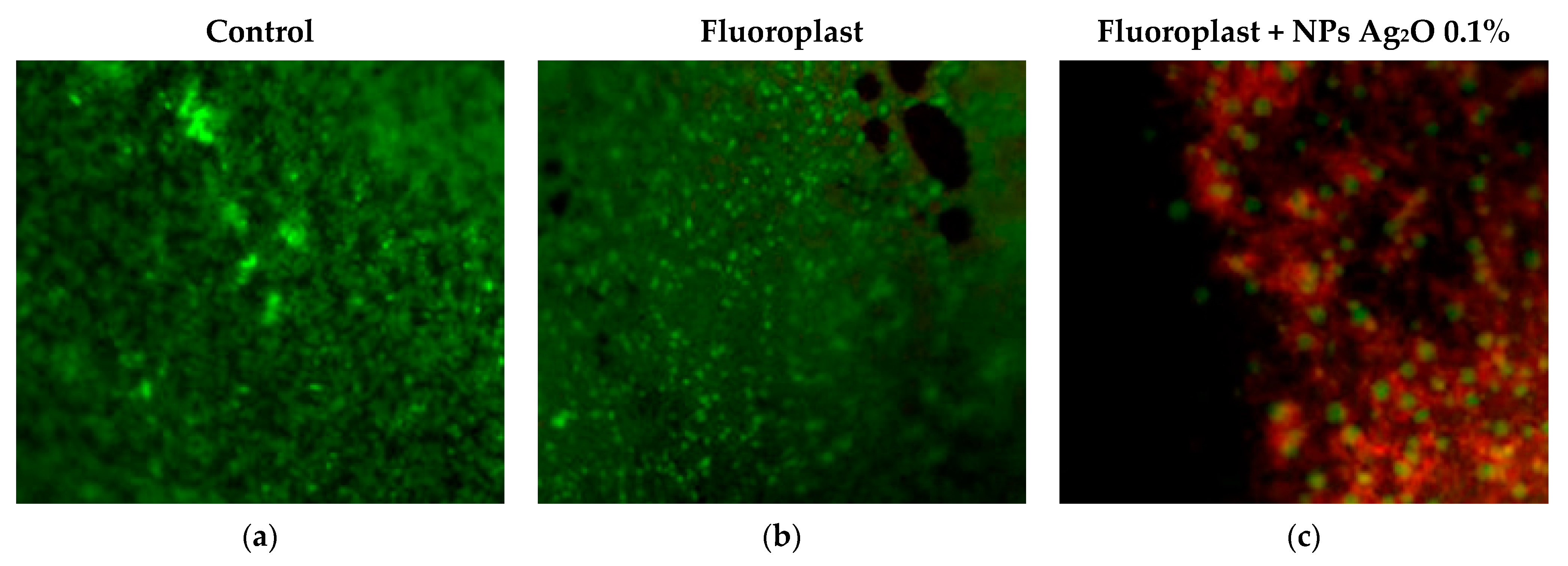 Ijms 24 00869 g008 Ijms 24 00869 g008