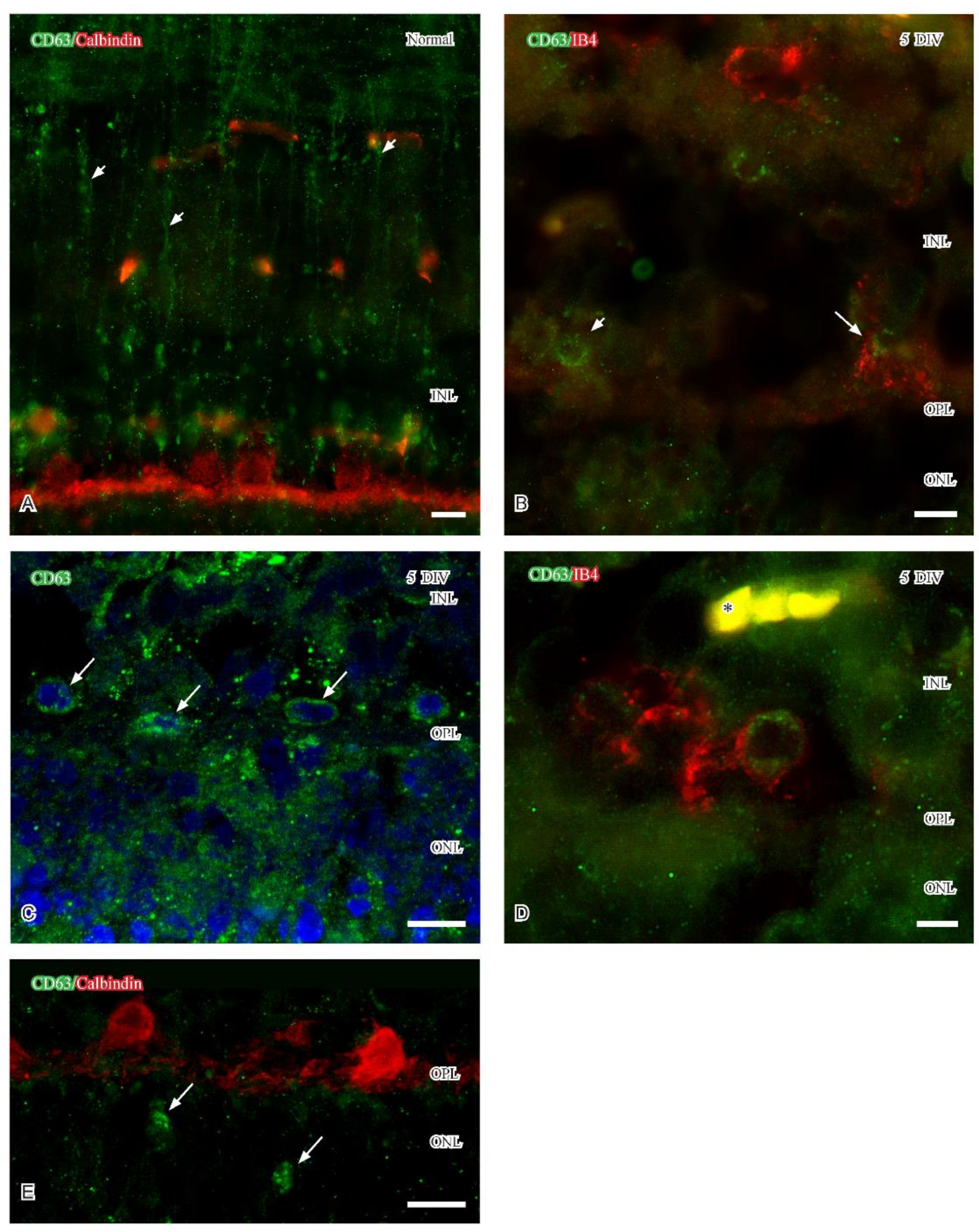 Ijms 24 00871 g003 Ijms 24 00871 g003