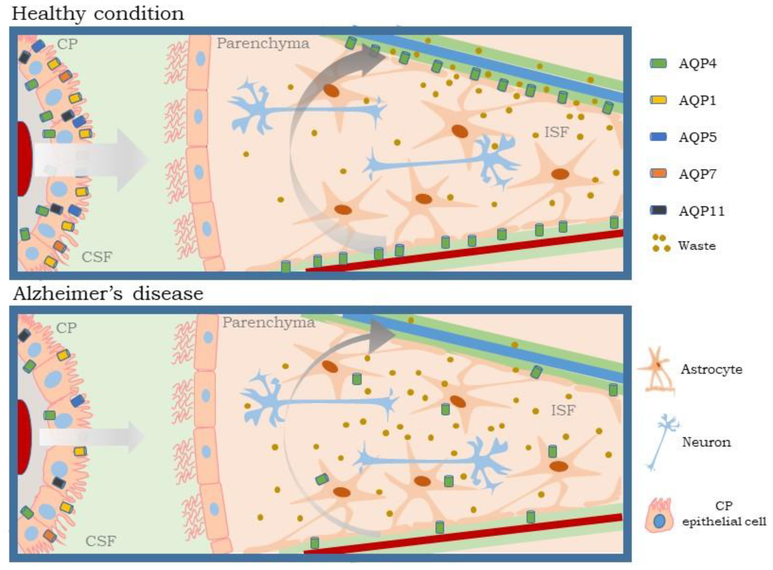 Ijms 24 00878 g003 Ijms 24 00878 g003