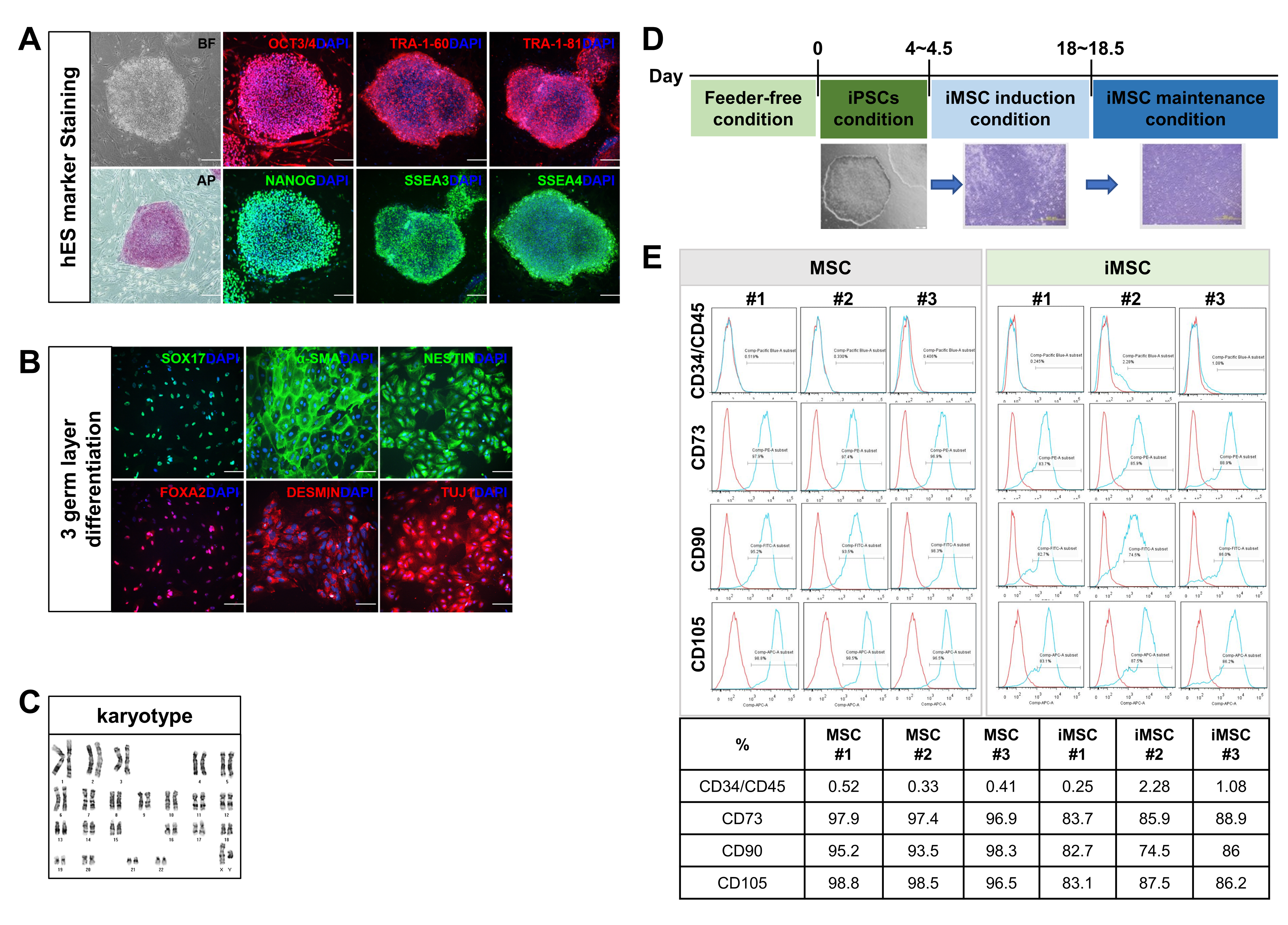 Ijms 24 00881 g001 Ijms 24 00881 g001