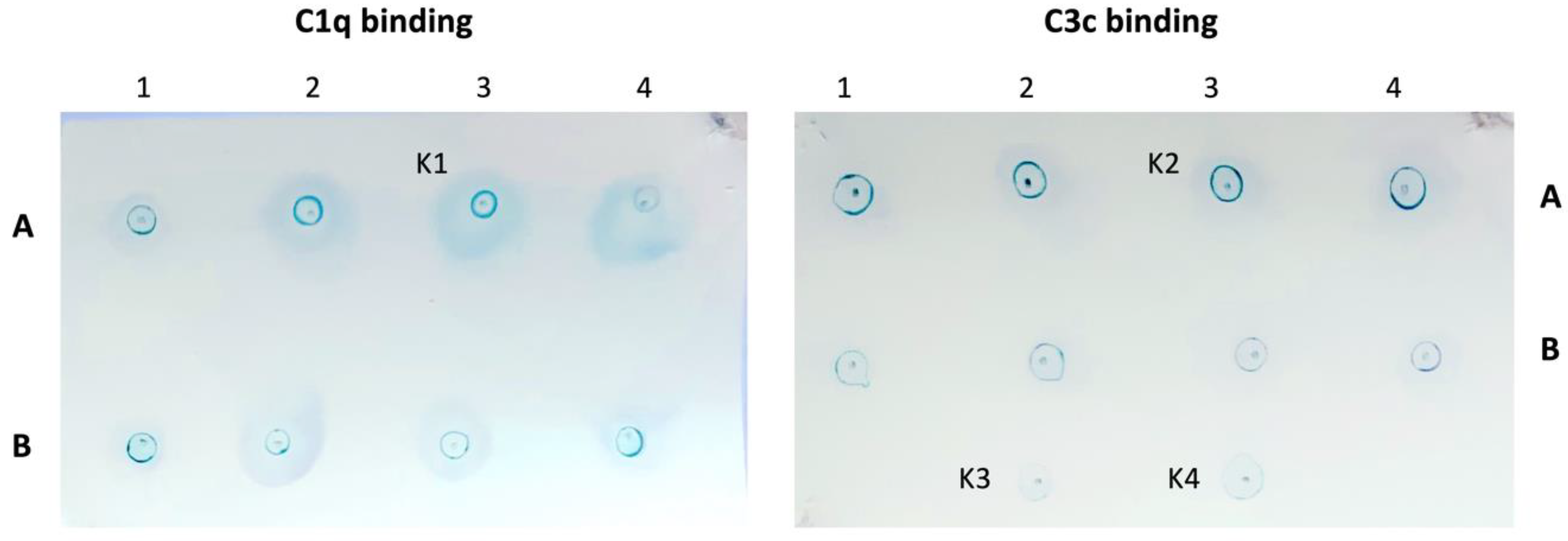 Ijms 24 00883 g004 Ijms 24 00883 g004