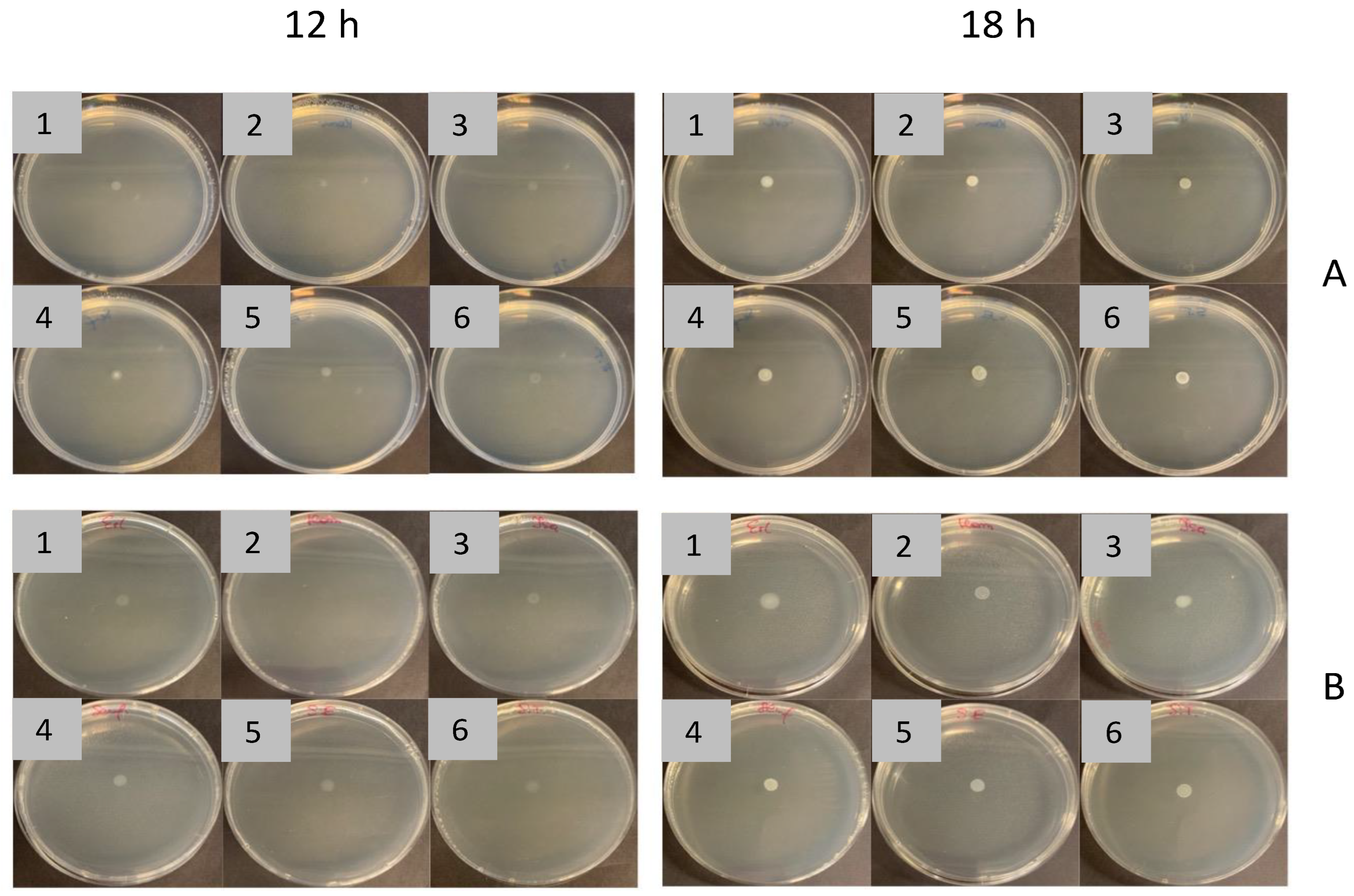 Ijms 24 00883 g007 Ijms 24 00883 g007