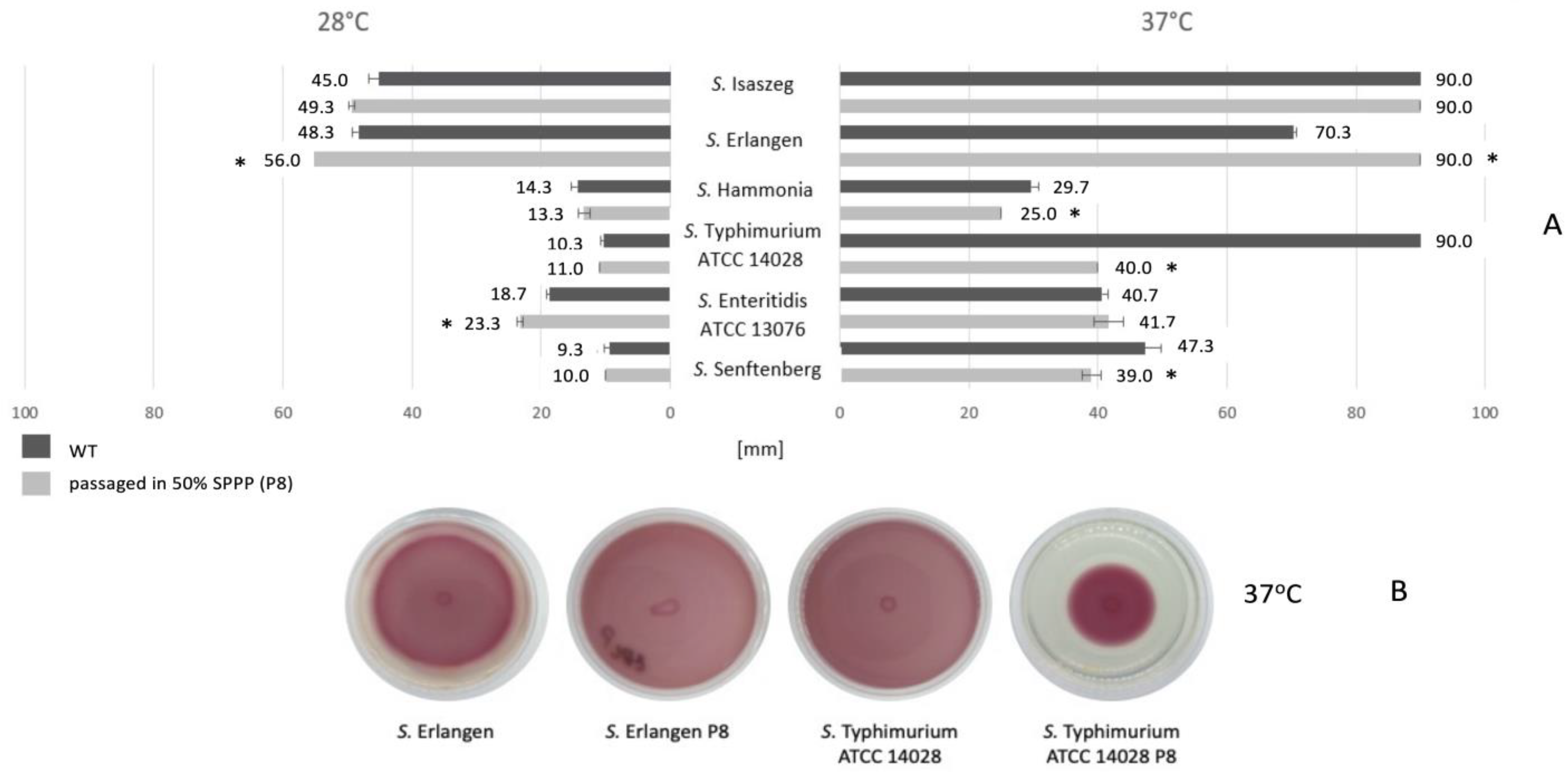 Ijms 24 00883 g008 Ijms 24 00883 g008