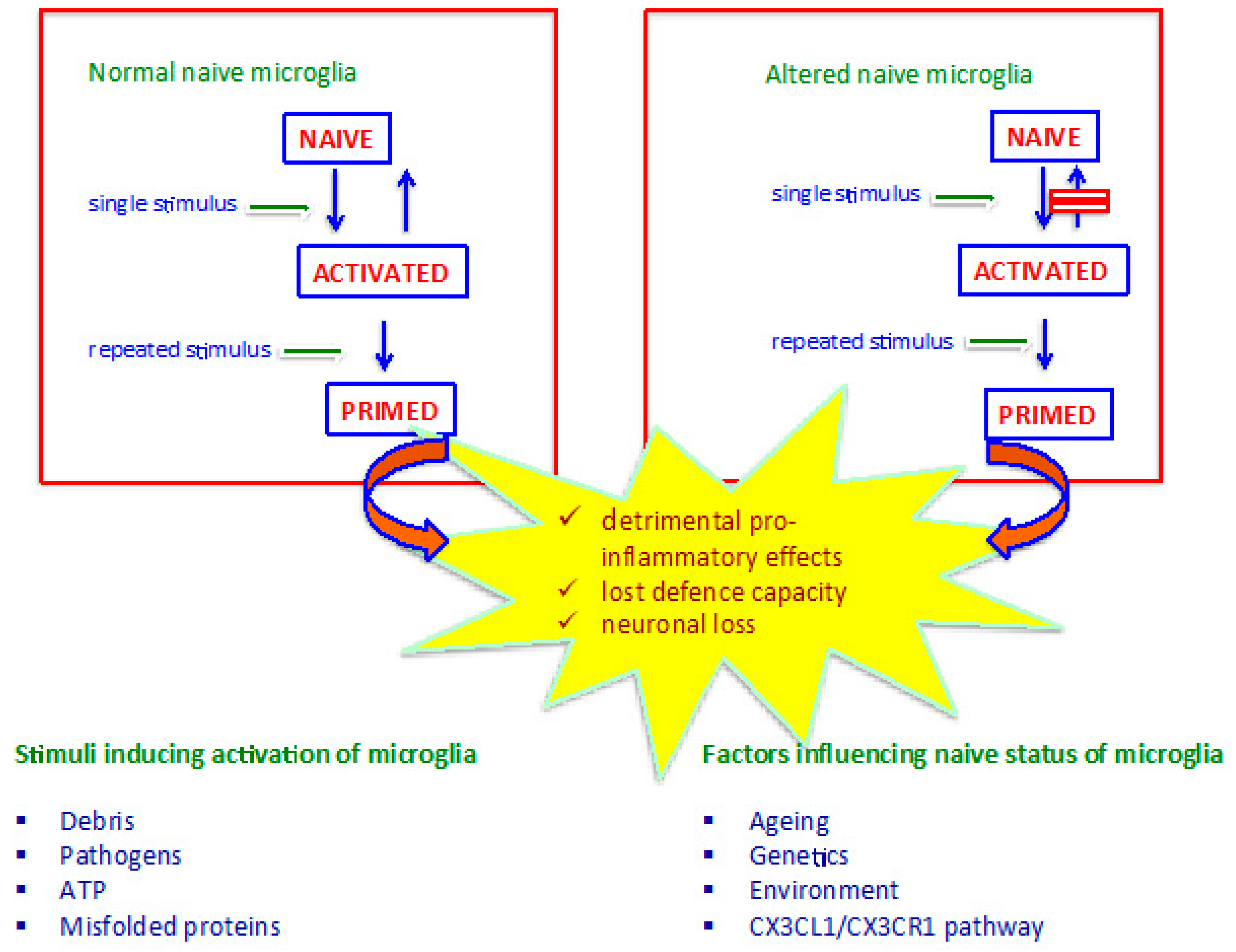 Ijms 24 00884 g001 Ijms 24 00884 g001