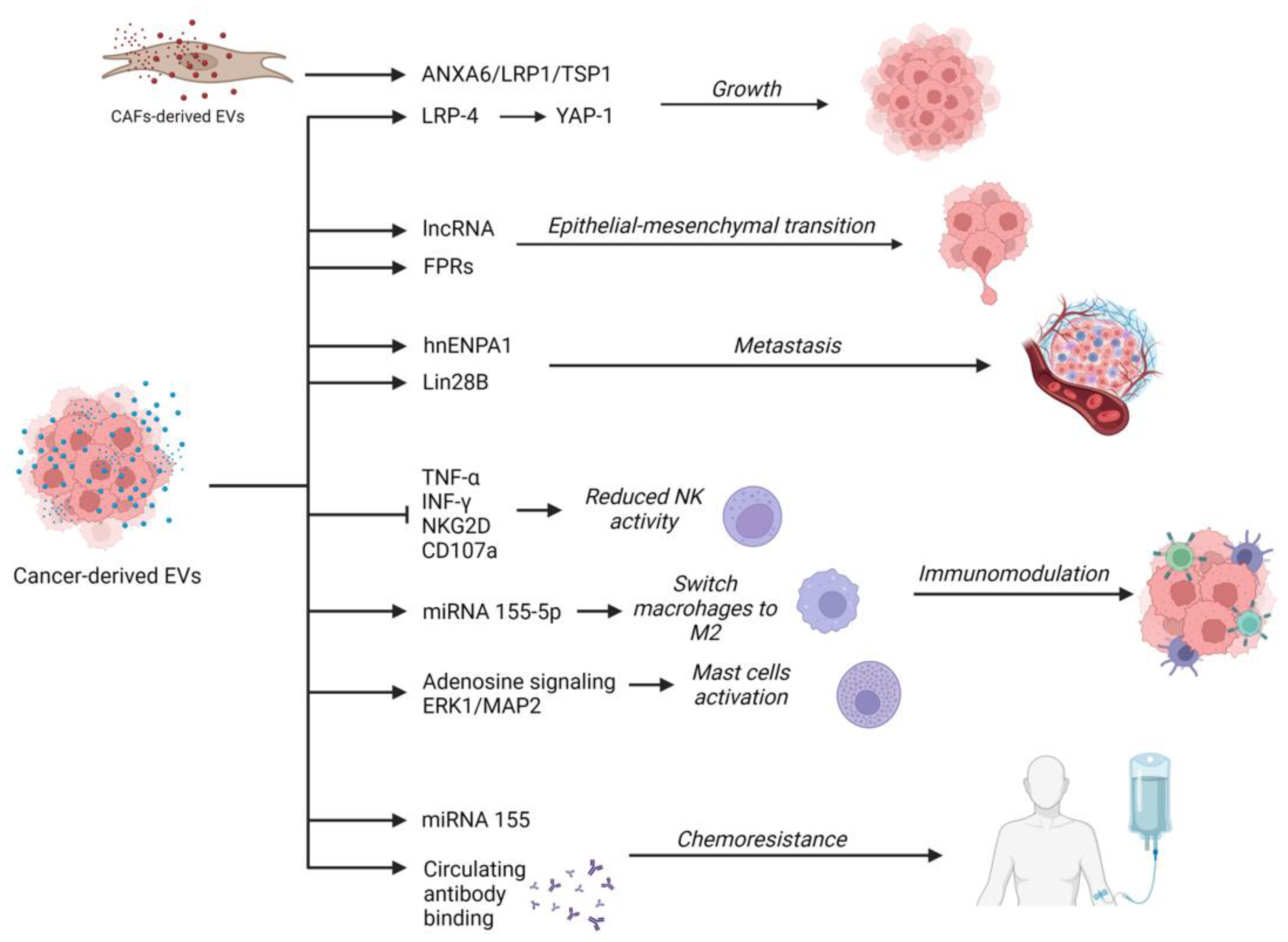 Ijms 24 00885 g002 Ijms 24 00885 g002