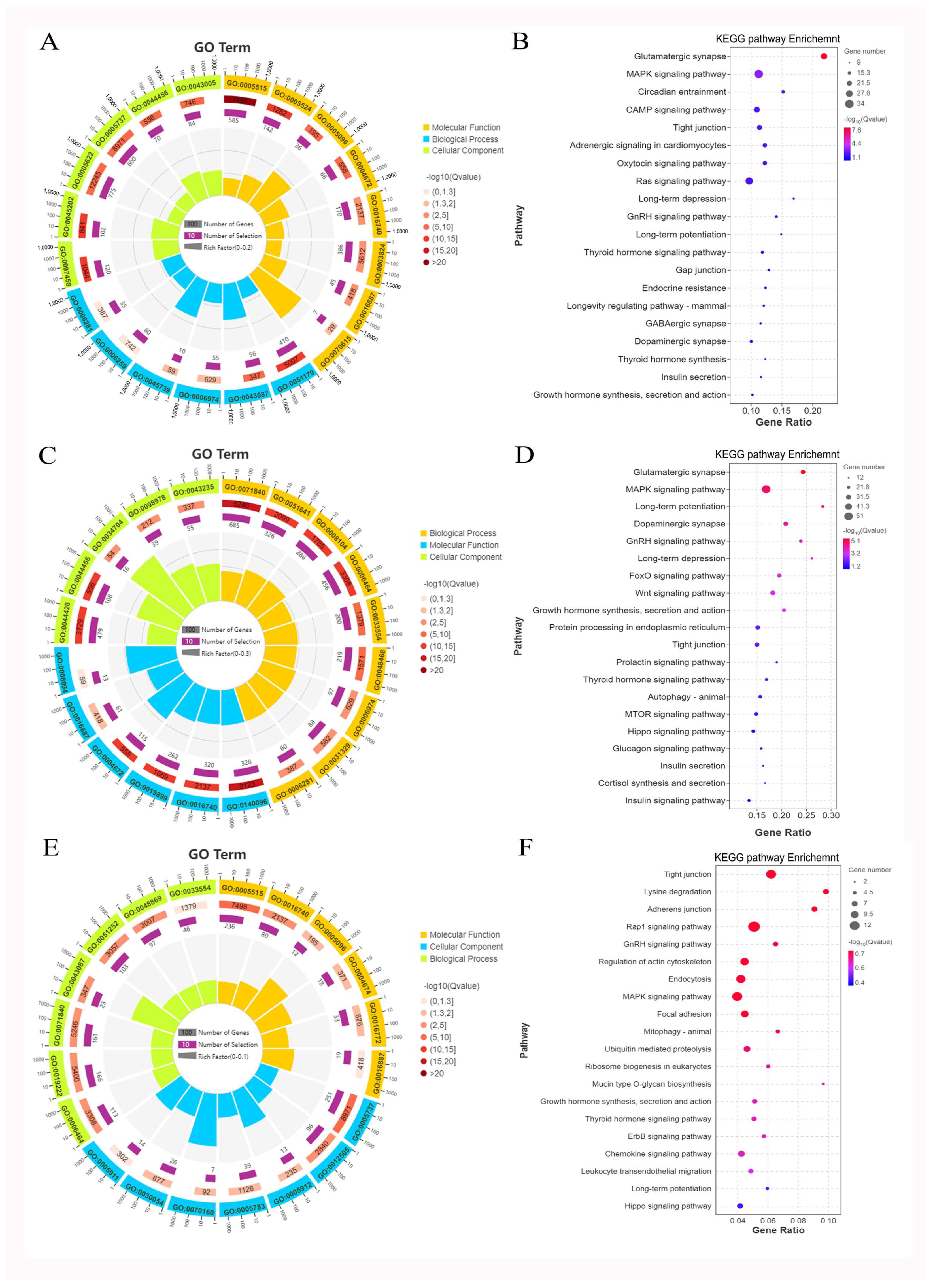 Ijms 24 00888 g005 Ijms 24 00888 g005