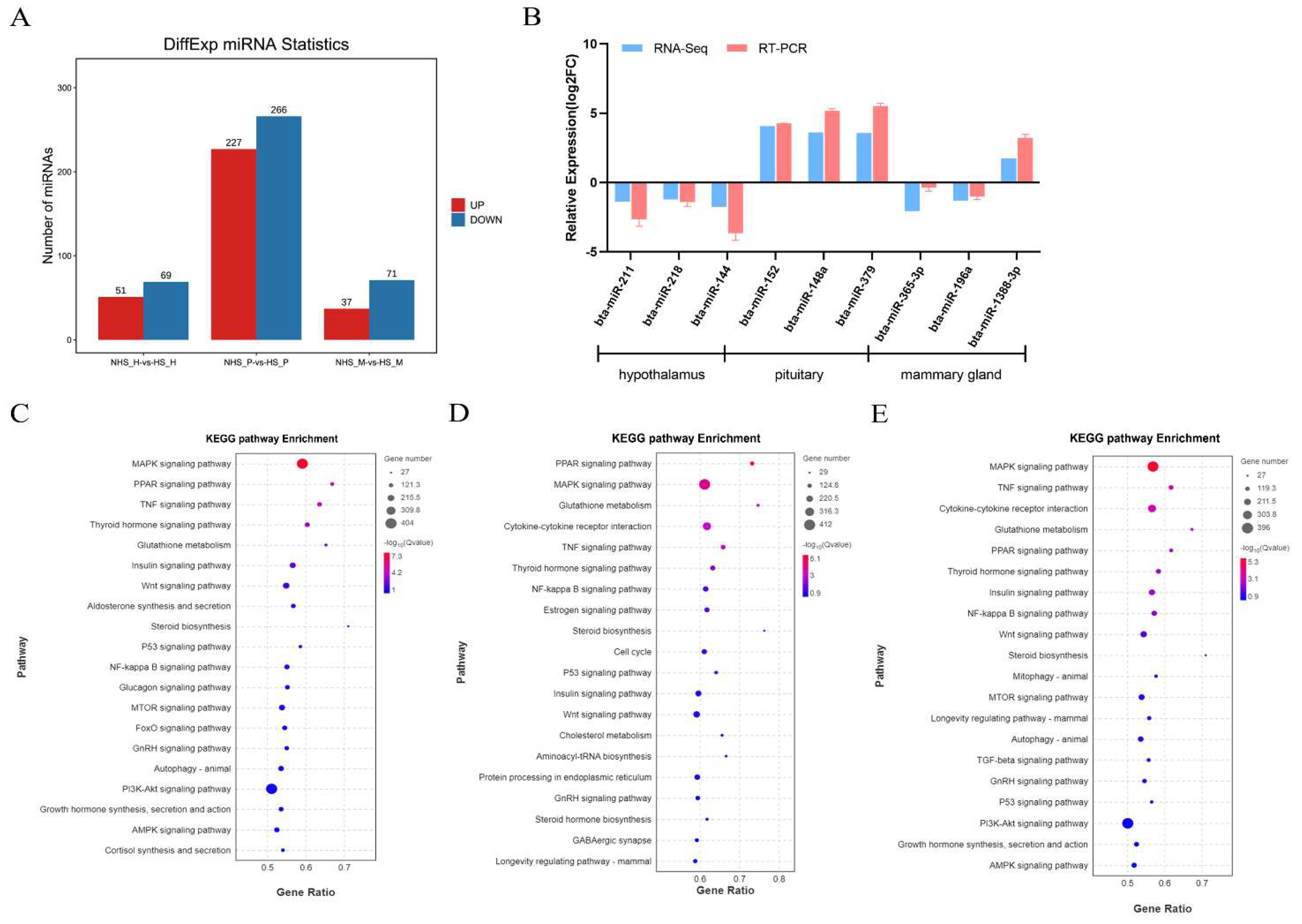 Ijms 24 00888 g006 Ijms 24 00888 g006