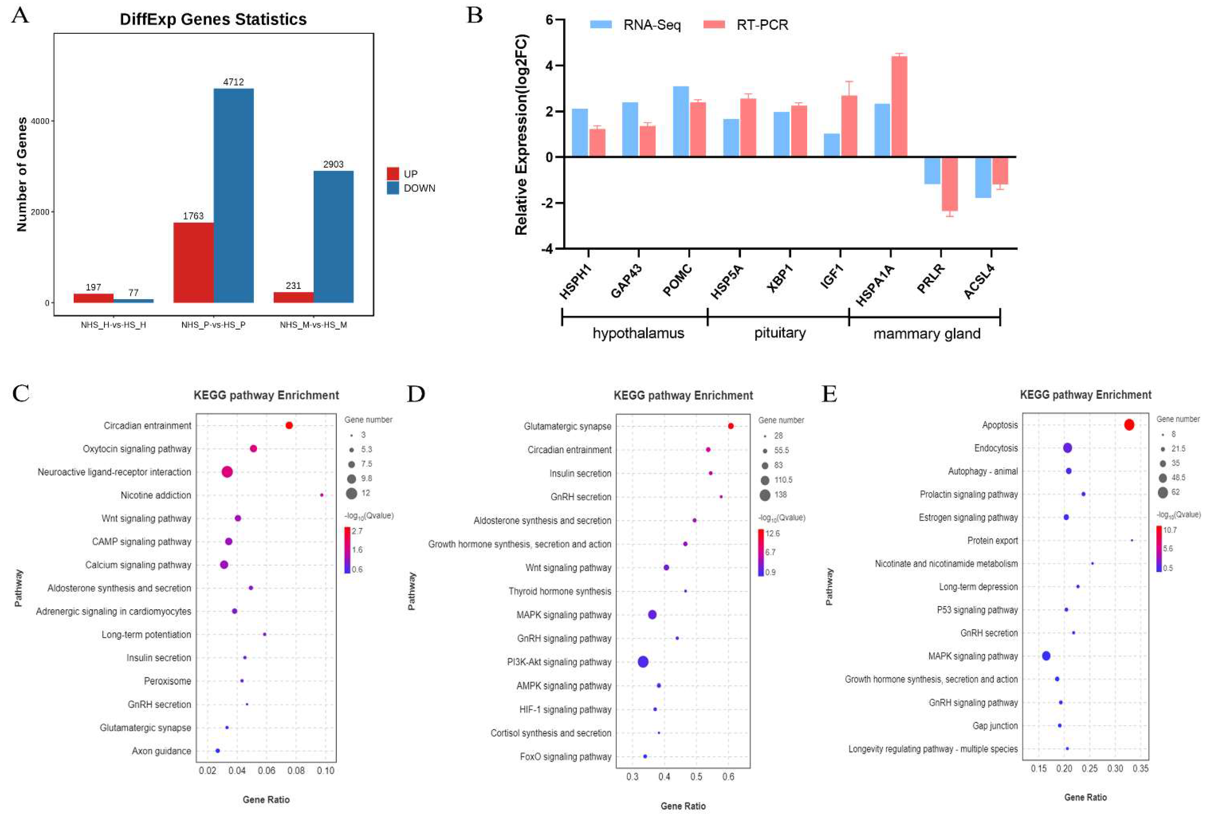 Ijms 24 00888 g007 Ijms 24 00888 g007