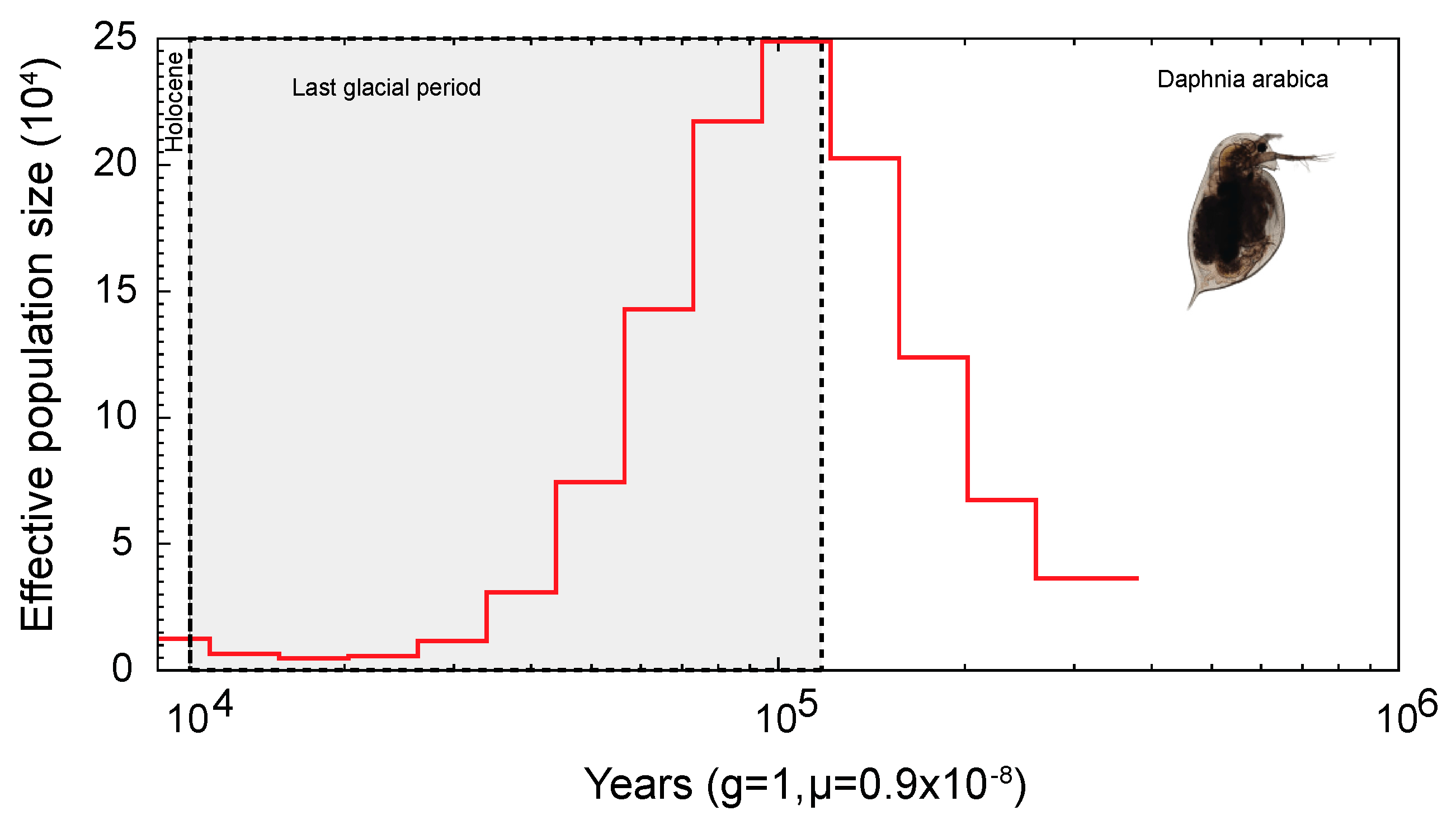 Ijms 24 00889 g005 Ijms 24 00889 g005