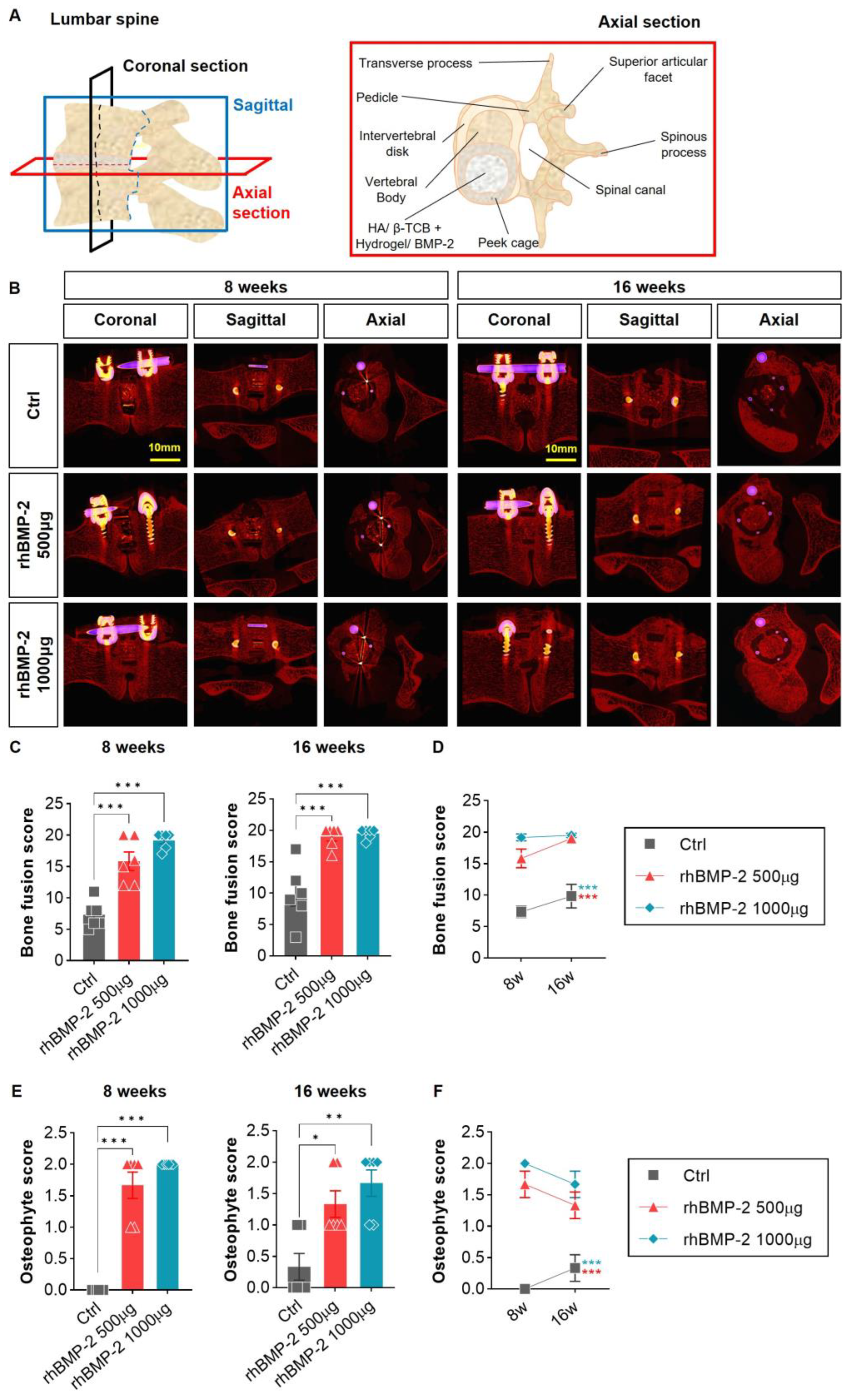 Ijms 24 00892 g002 Ijms 24 00892 g002