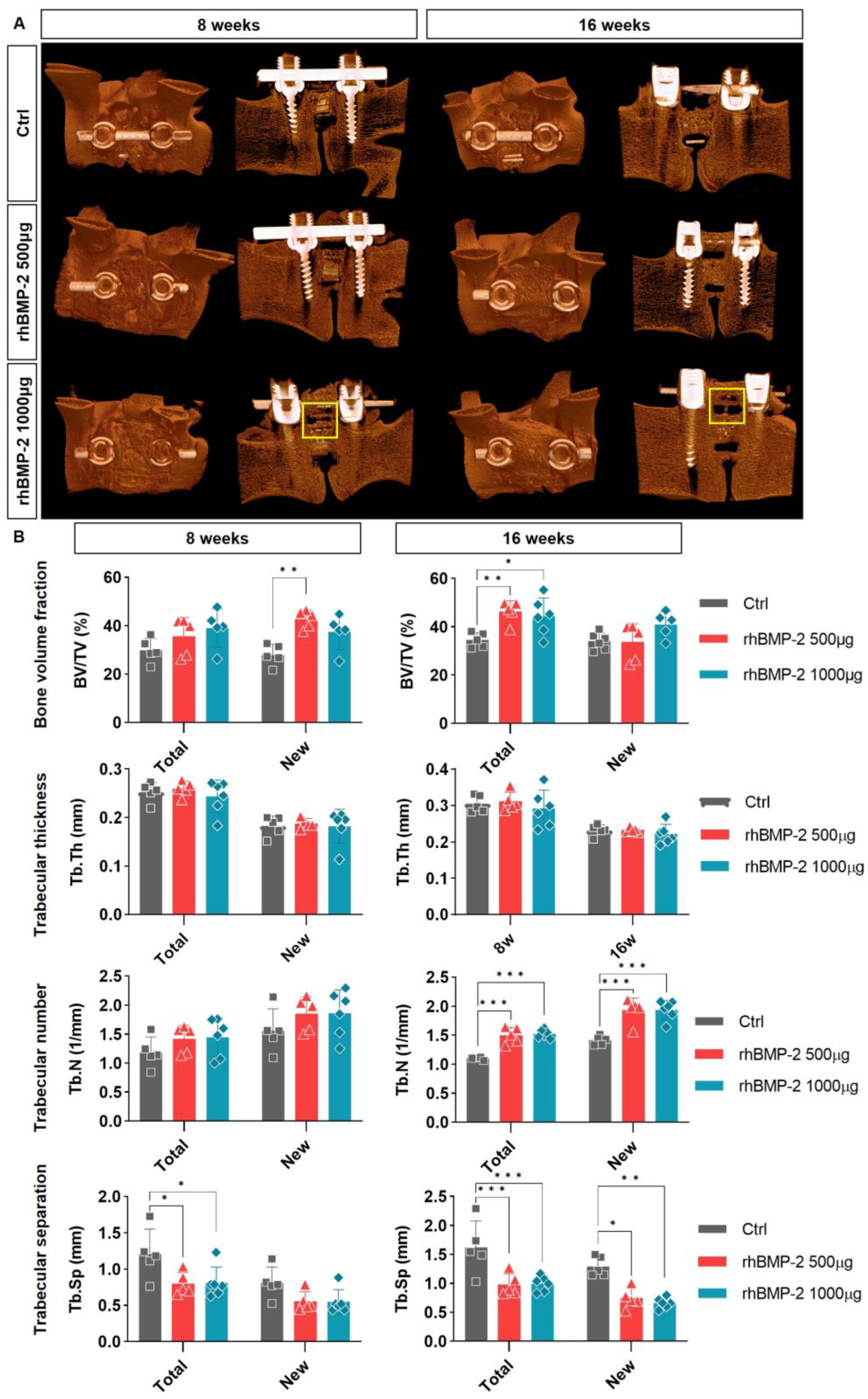 Ijms 24 00892 g003 Ijms 24 00892 g003