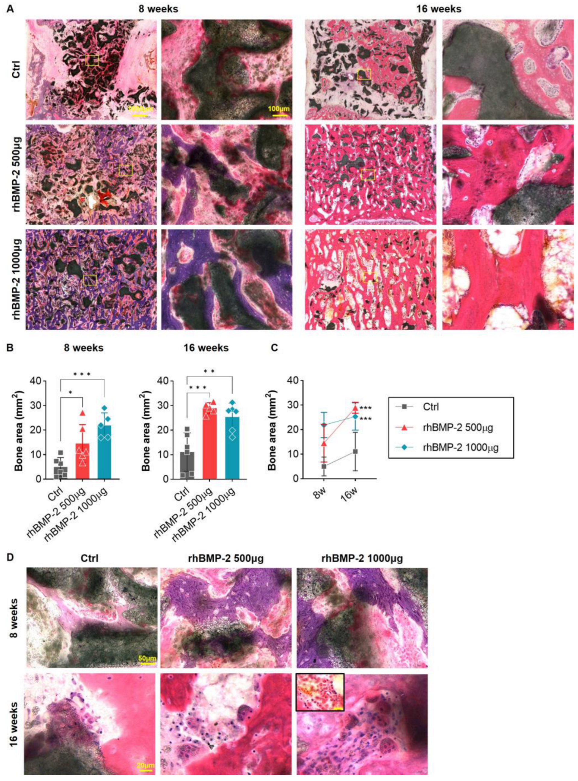Ijms 24 00892 g004 Ijms 24 00892 g004