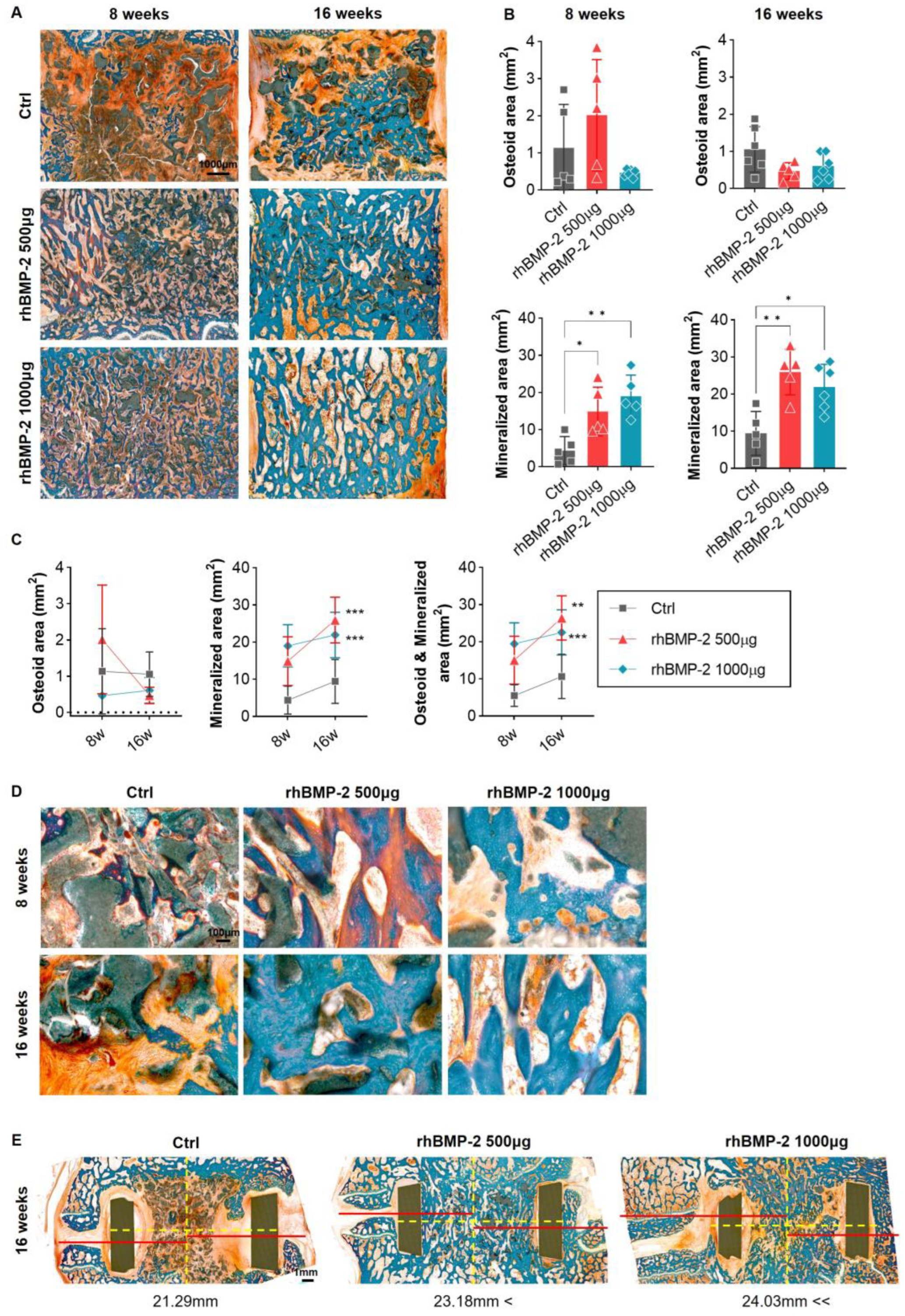 Ijms 24 00892 g005 Ijms 24 00892 g005