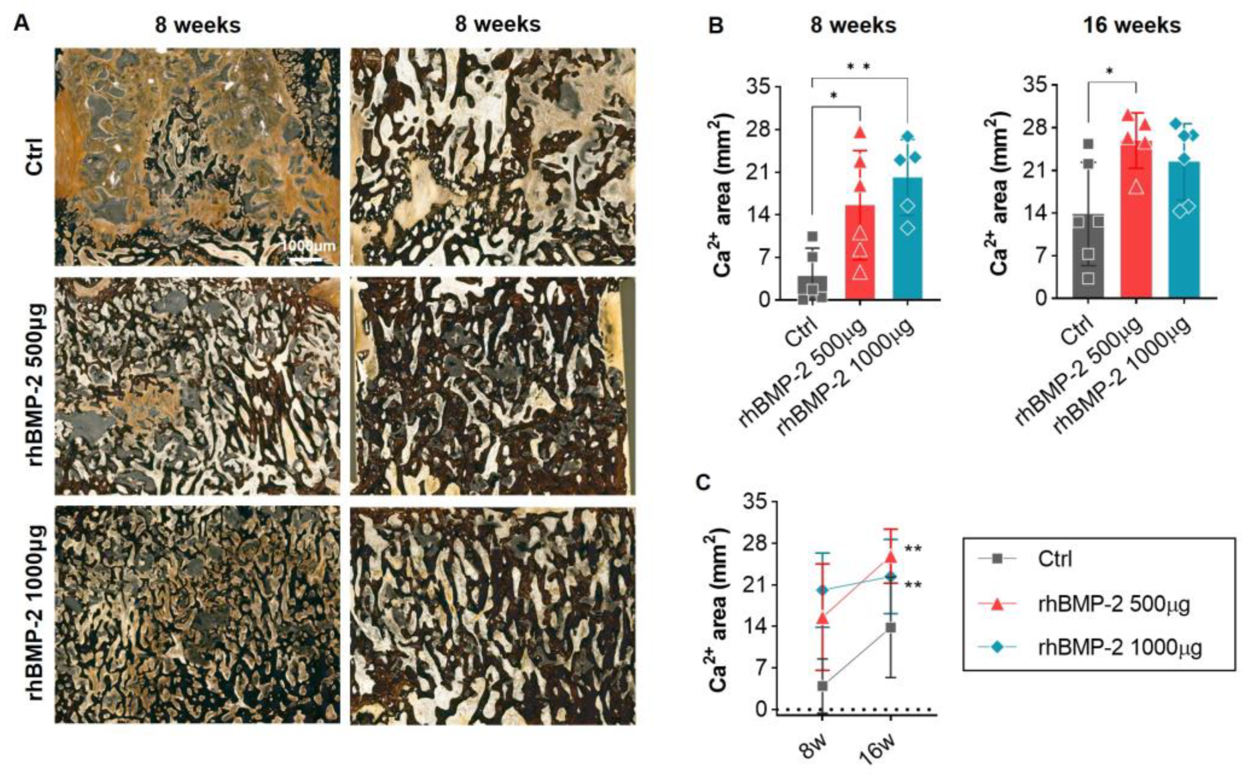 Ijms 24 00892 g006 Ijms 24 00892 g006